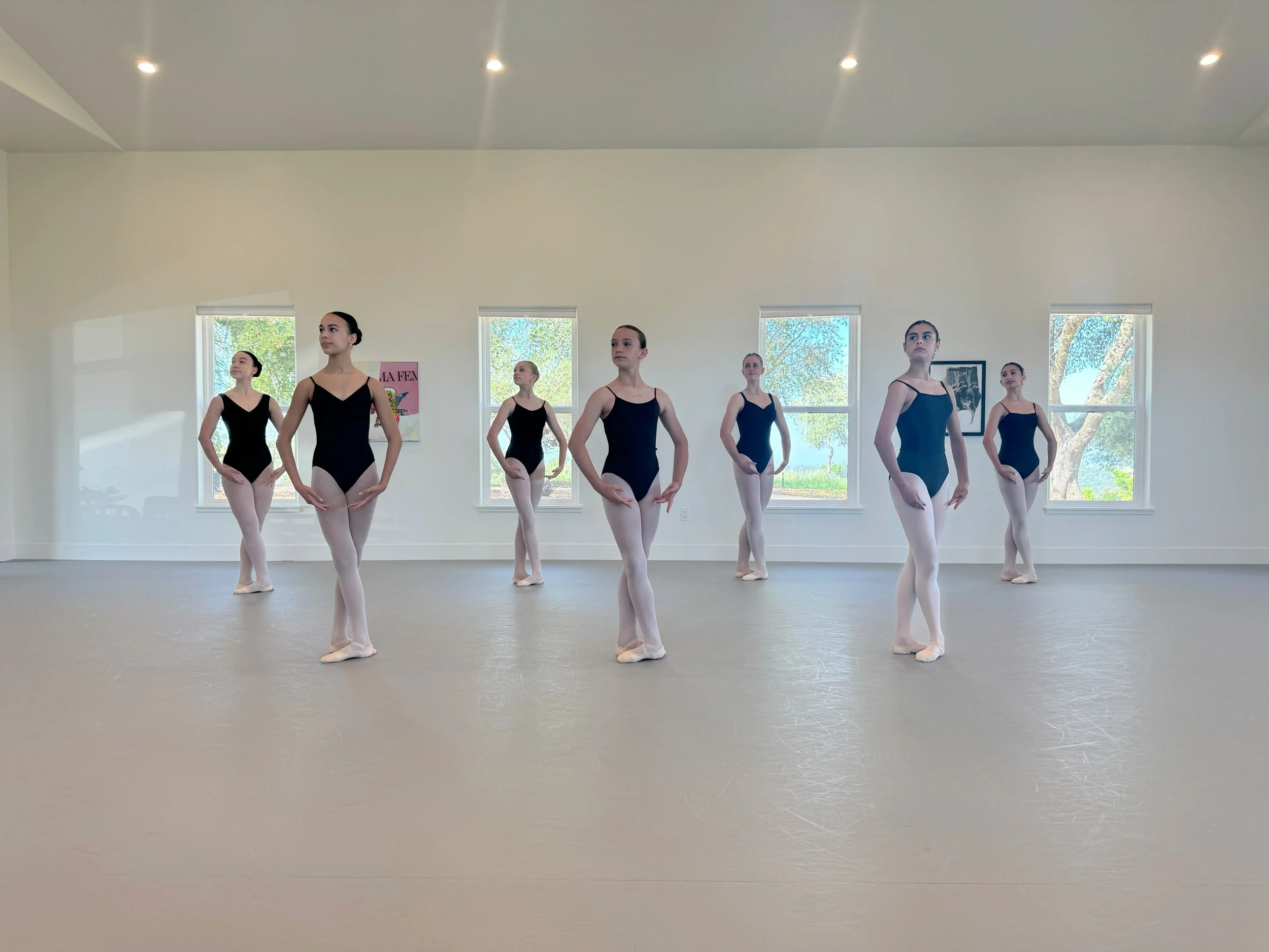 Advanced Ballet Classes