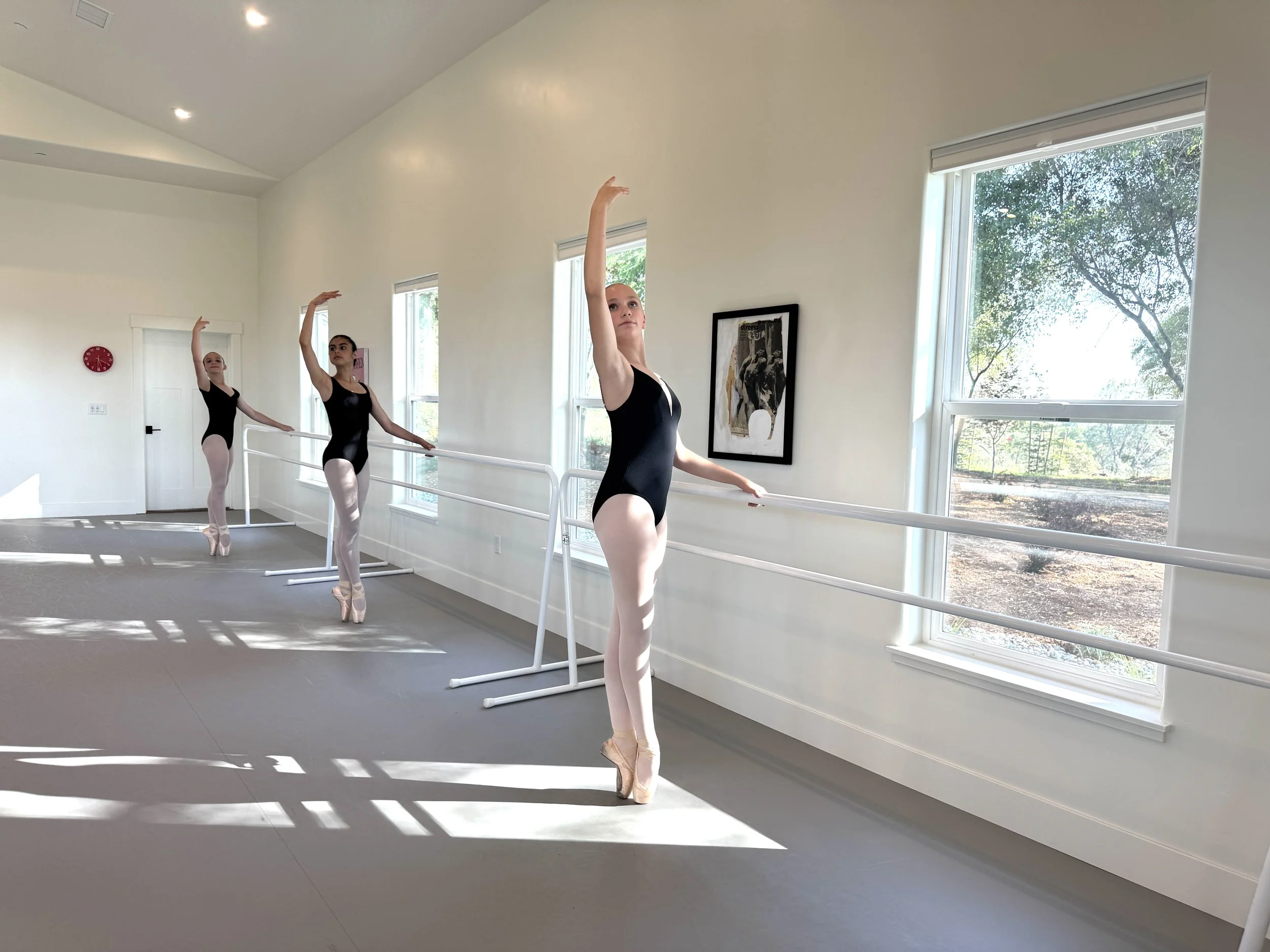 3 Pointe.jpg