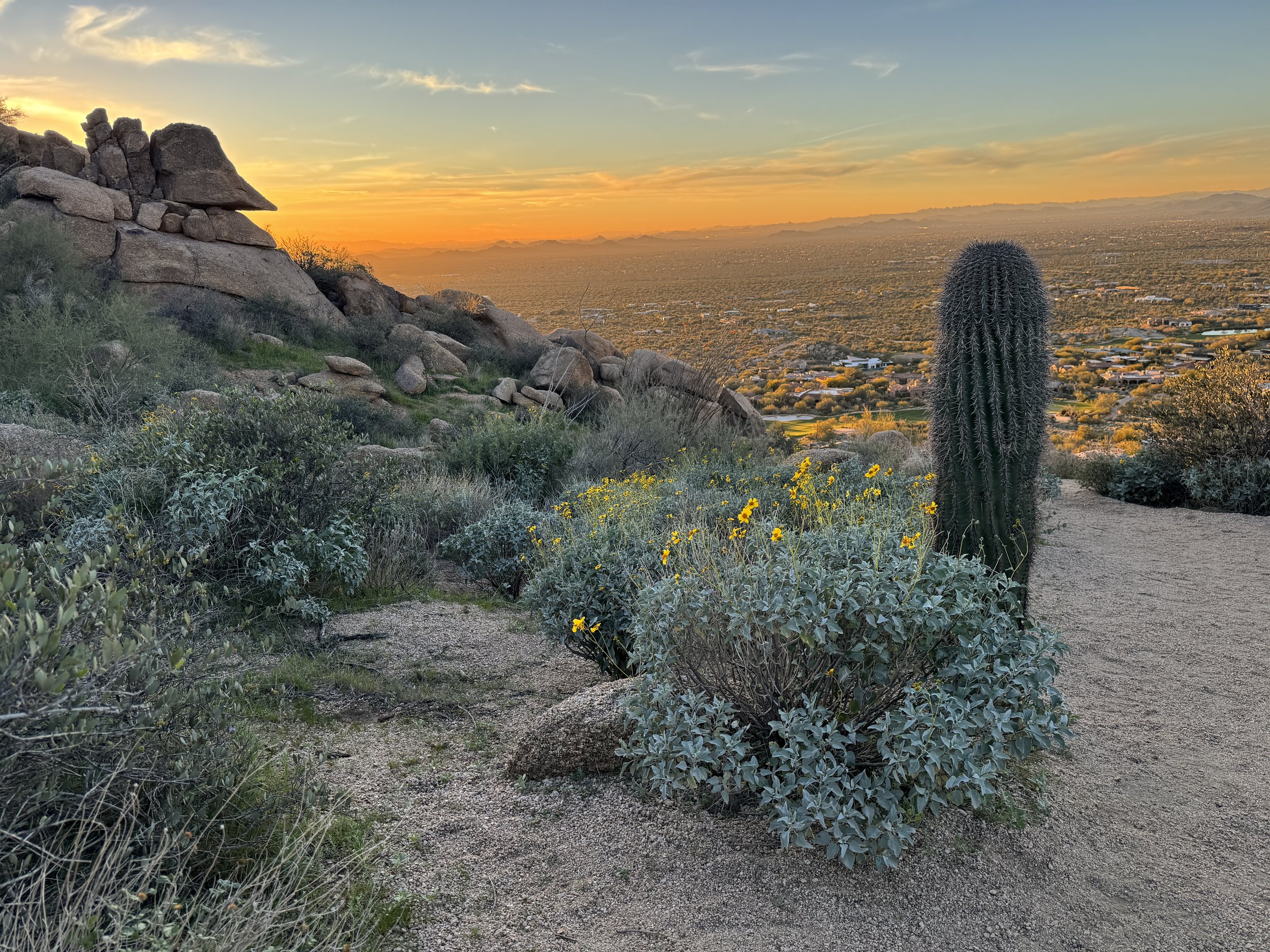 A desert landscape at sunset featuring a large cactus, rocky hillside, and distant mountains under a colorful sky.