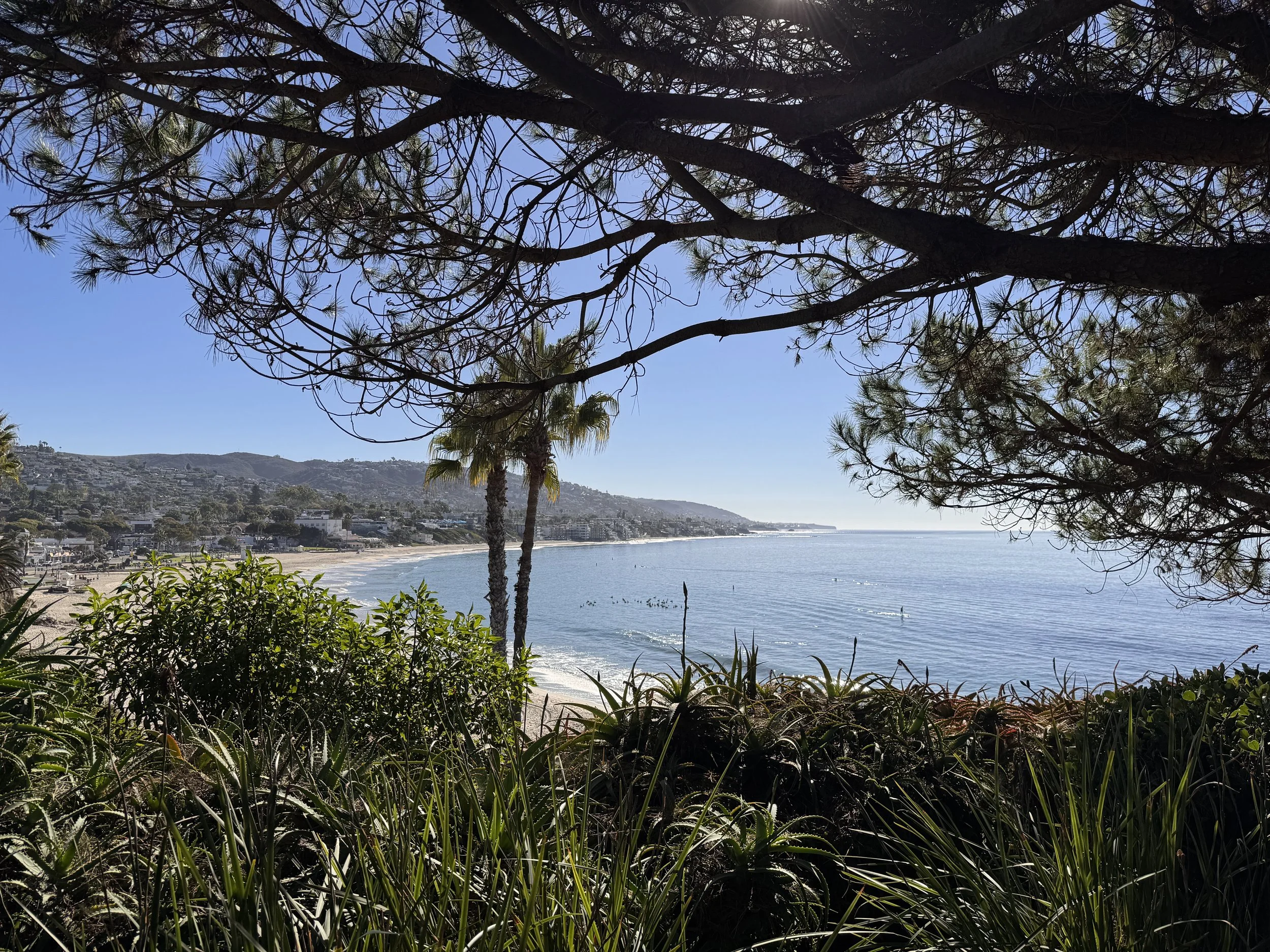 A scenic view of the coastline with trees in the foreground, ocean waves, and hillside buildings in the background on a clear sunny day.