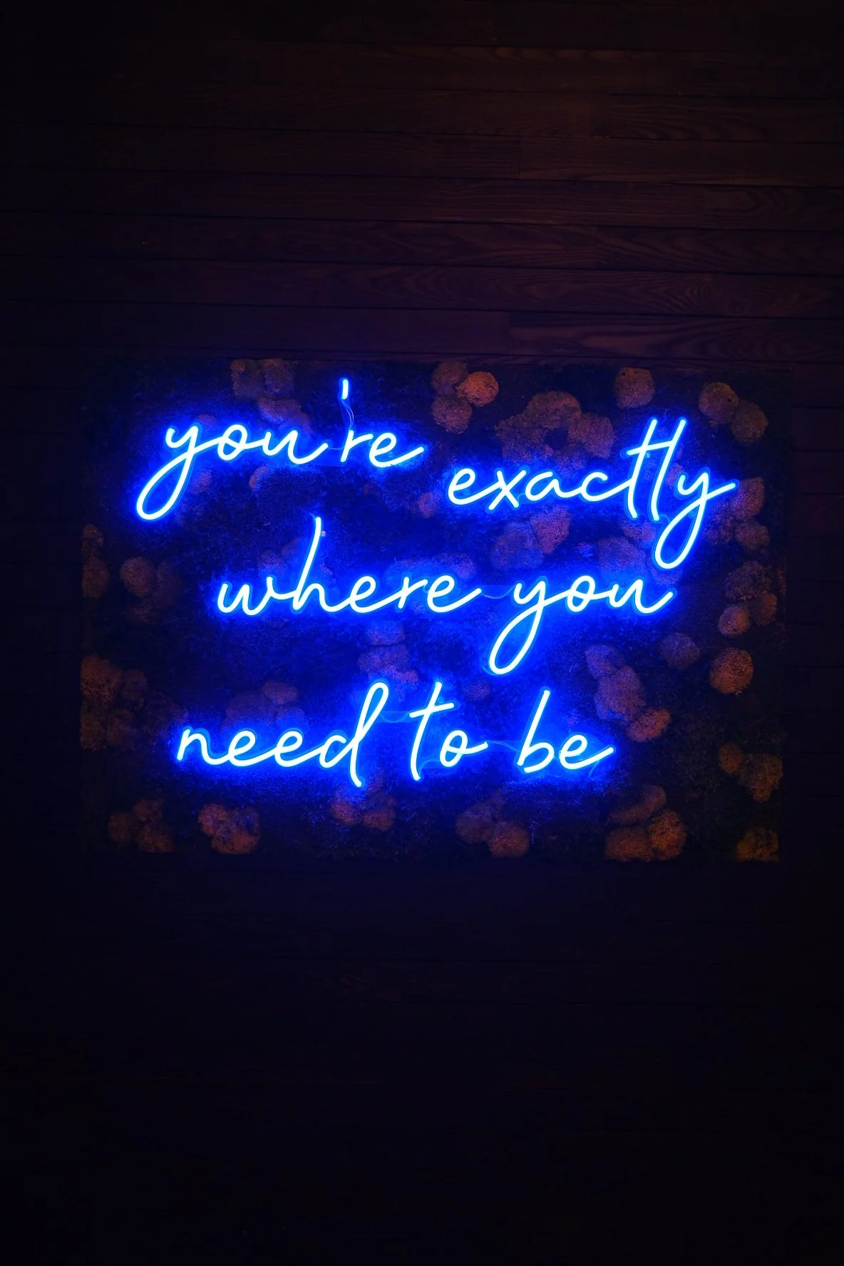 Blue neon sign with the phrase 'you're exactly where you need to be' on a dark background, surrounded by small orange flowers.