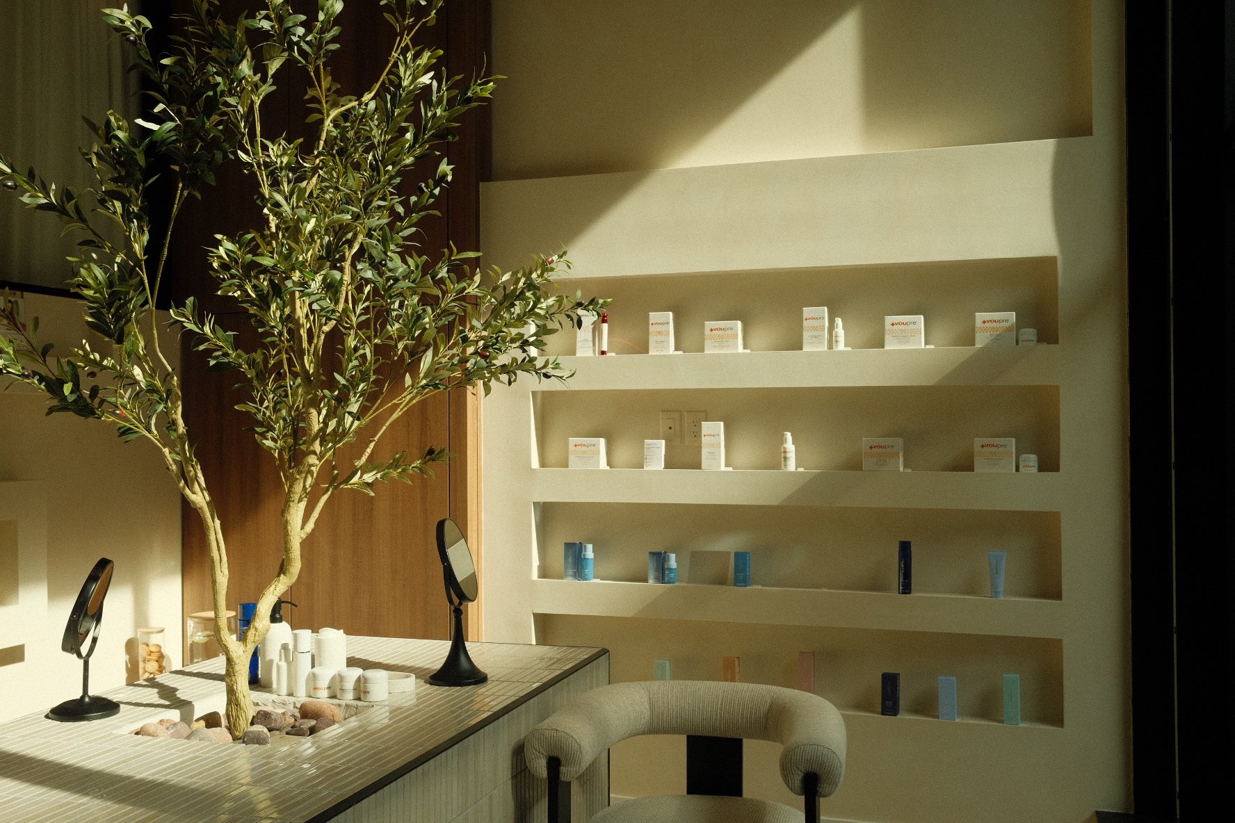 Interior view of a room with a large potted plant on a counter, beige walls with built-in shelves displaying small products, a mirror, and chairs in the foreground.
