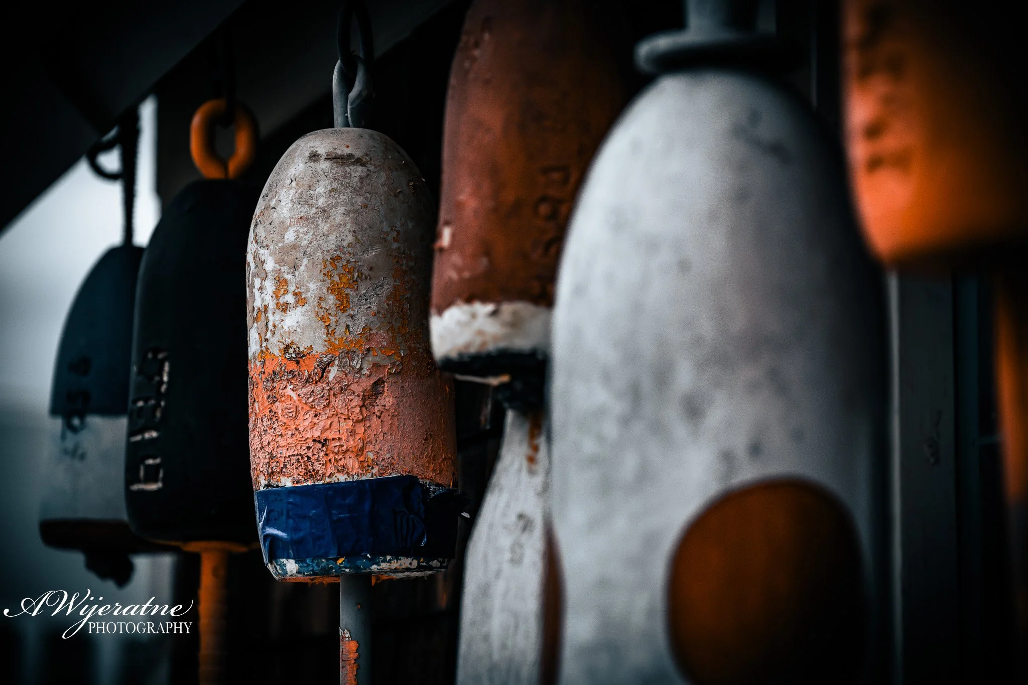 A row of hanging kettlebells and other gym equipment, some rusted and worn, on a dark background.