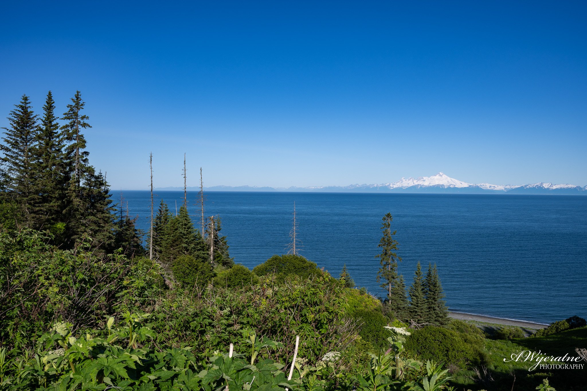 Scenic view of a large body of water with green trees in the foreground and snow-capped mountains in the background under a clear blue sky.