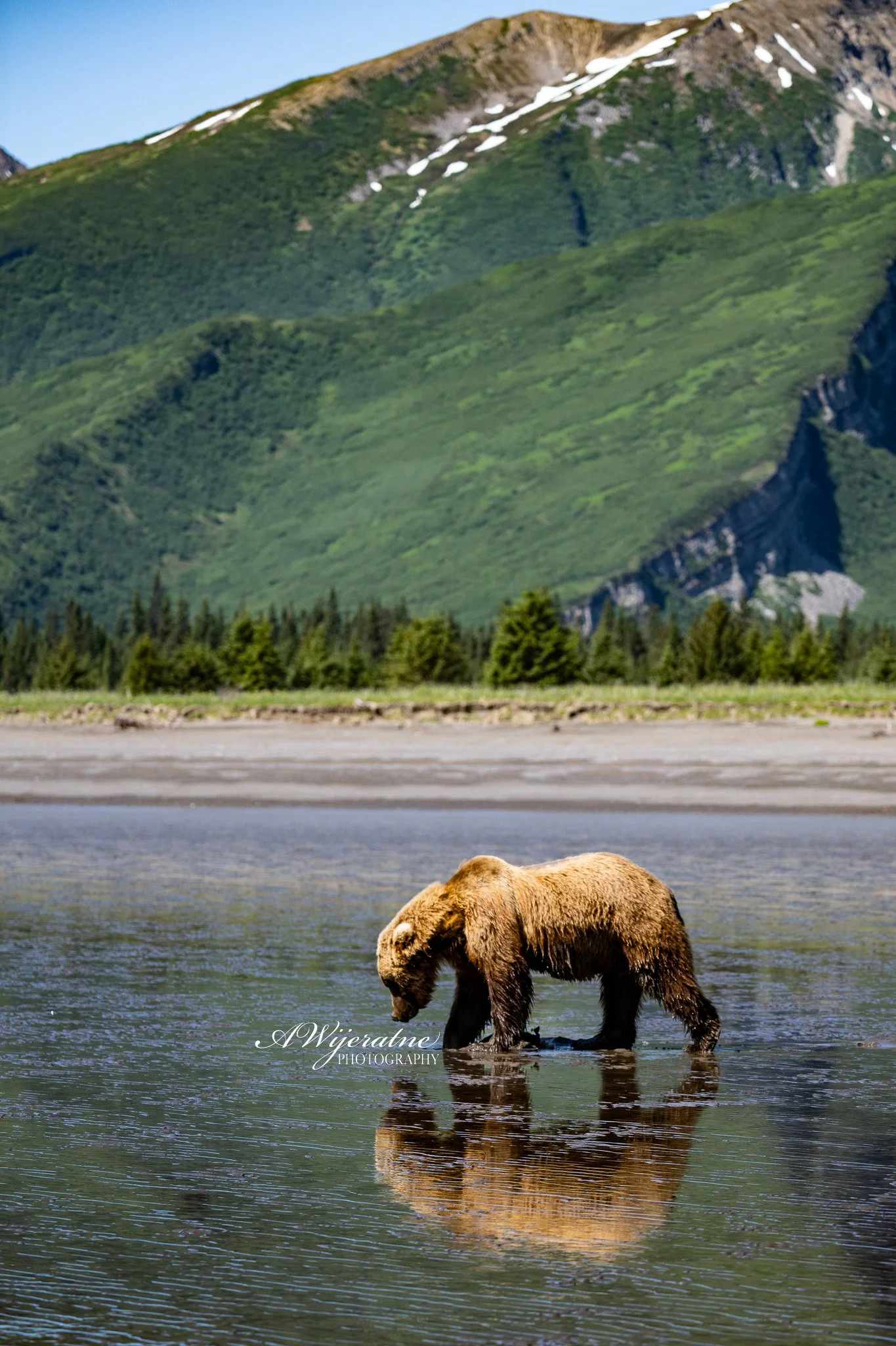DSC_0227.jpg