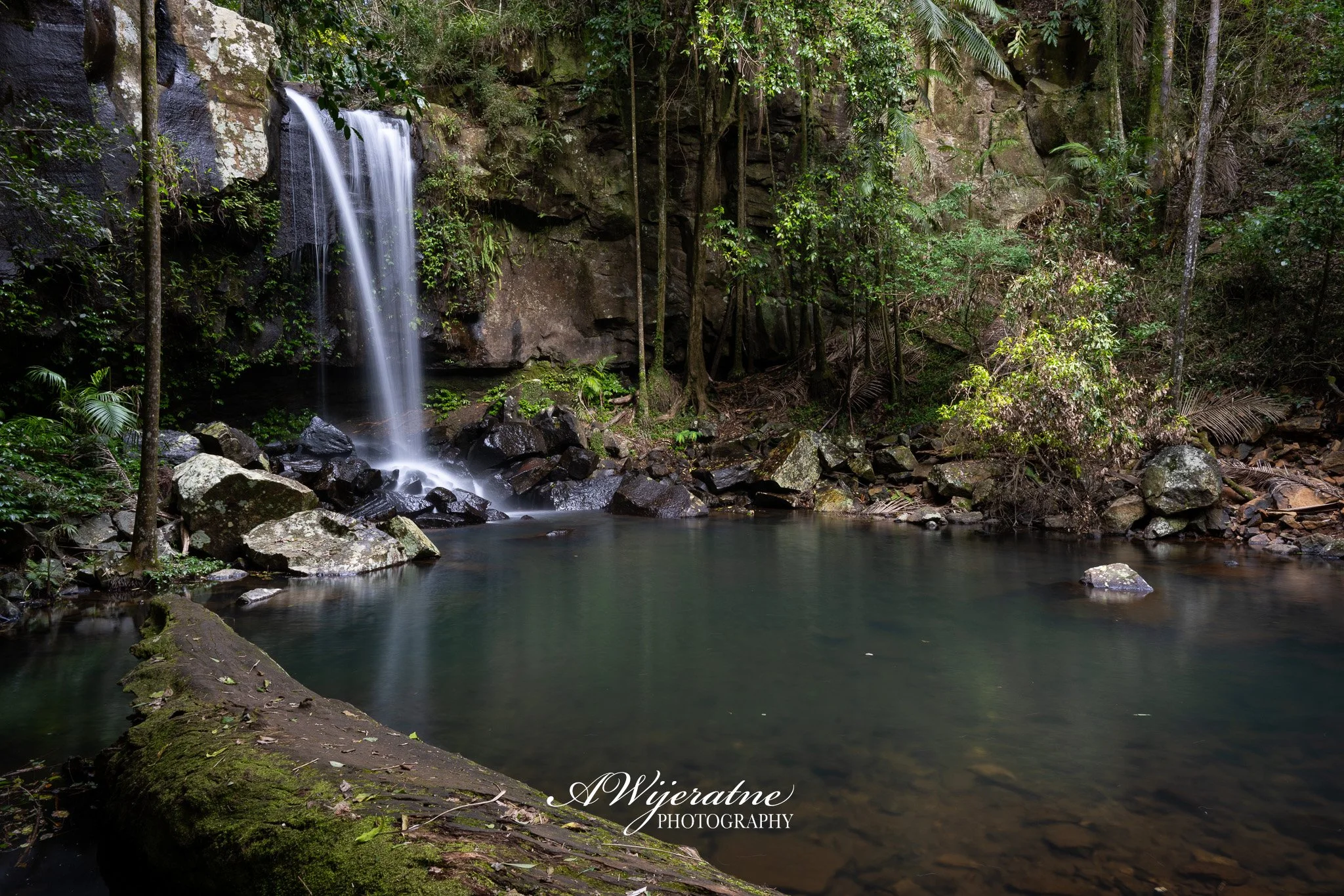 A small waterfall cascading into a serene pool surrounded by lush green foliage and rocks in a dense forest.