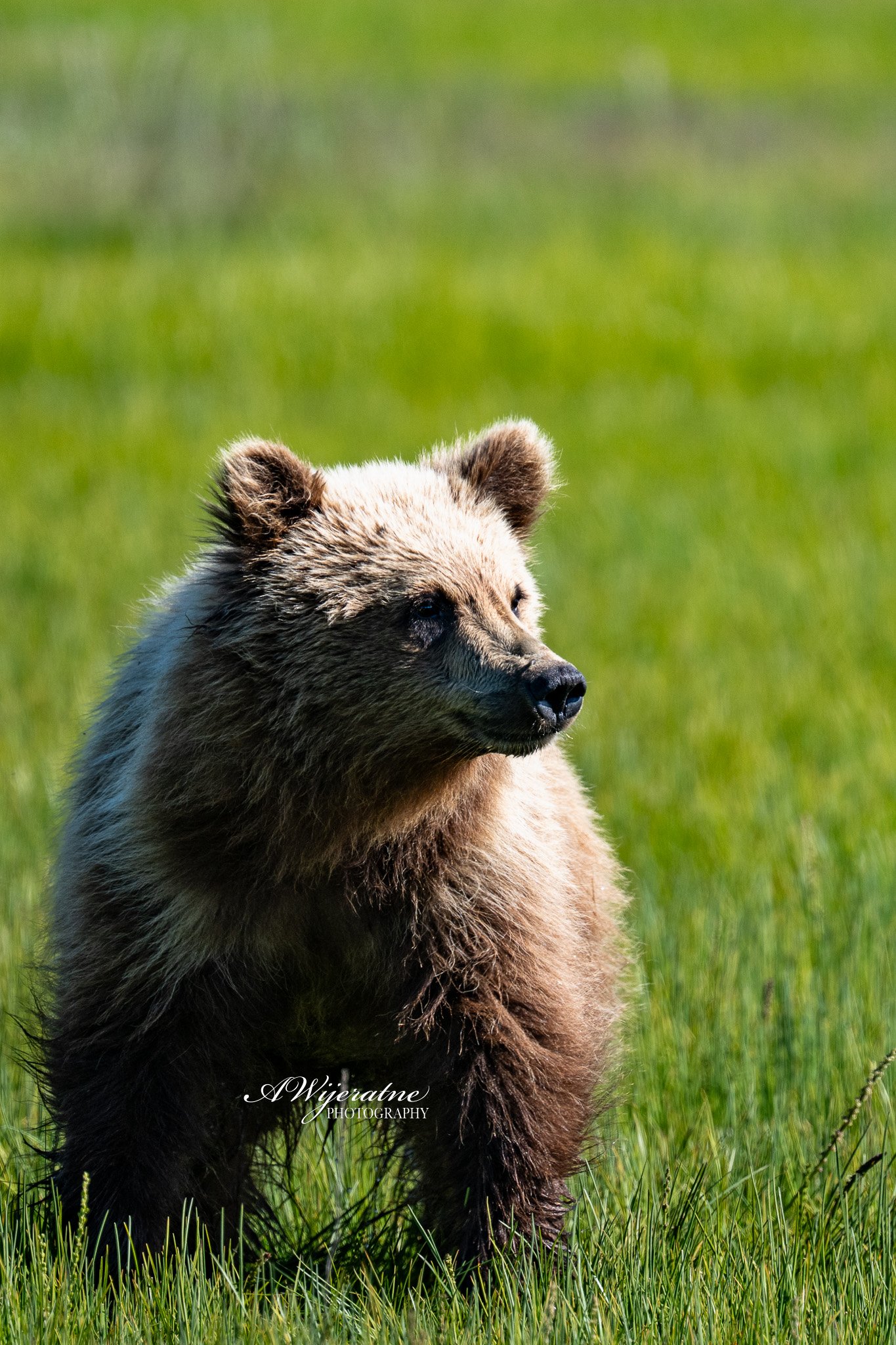 DSC_9779.jpg