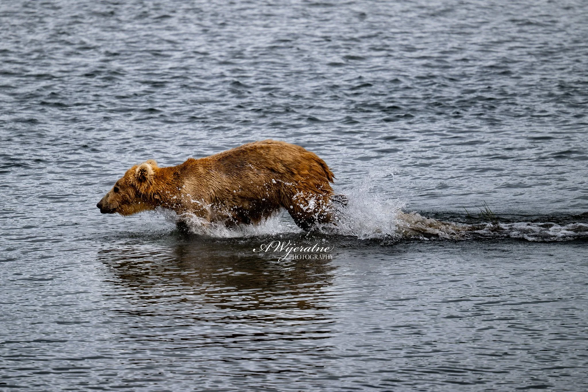 DSC_0814.jpg