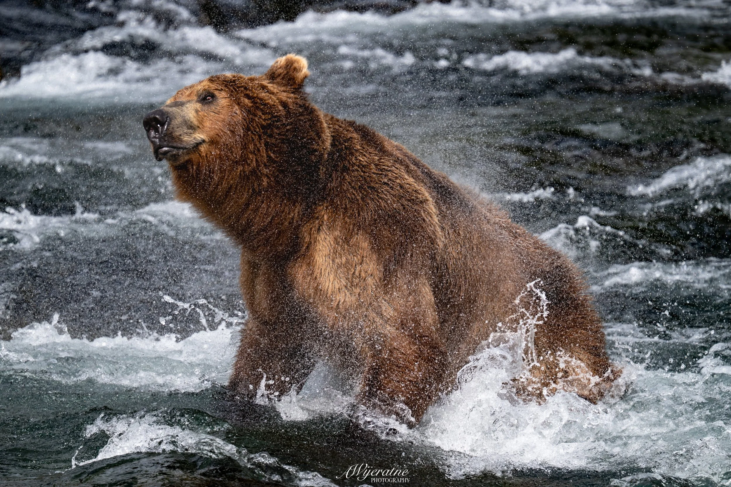 DSC_1175.jpg