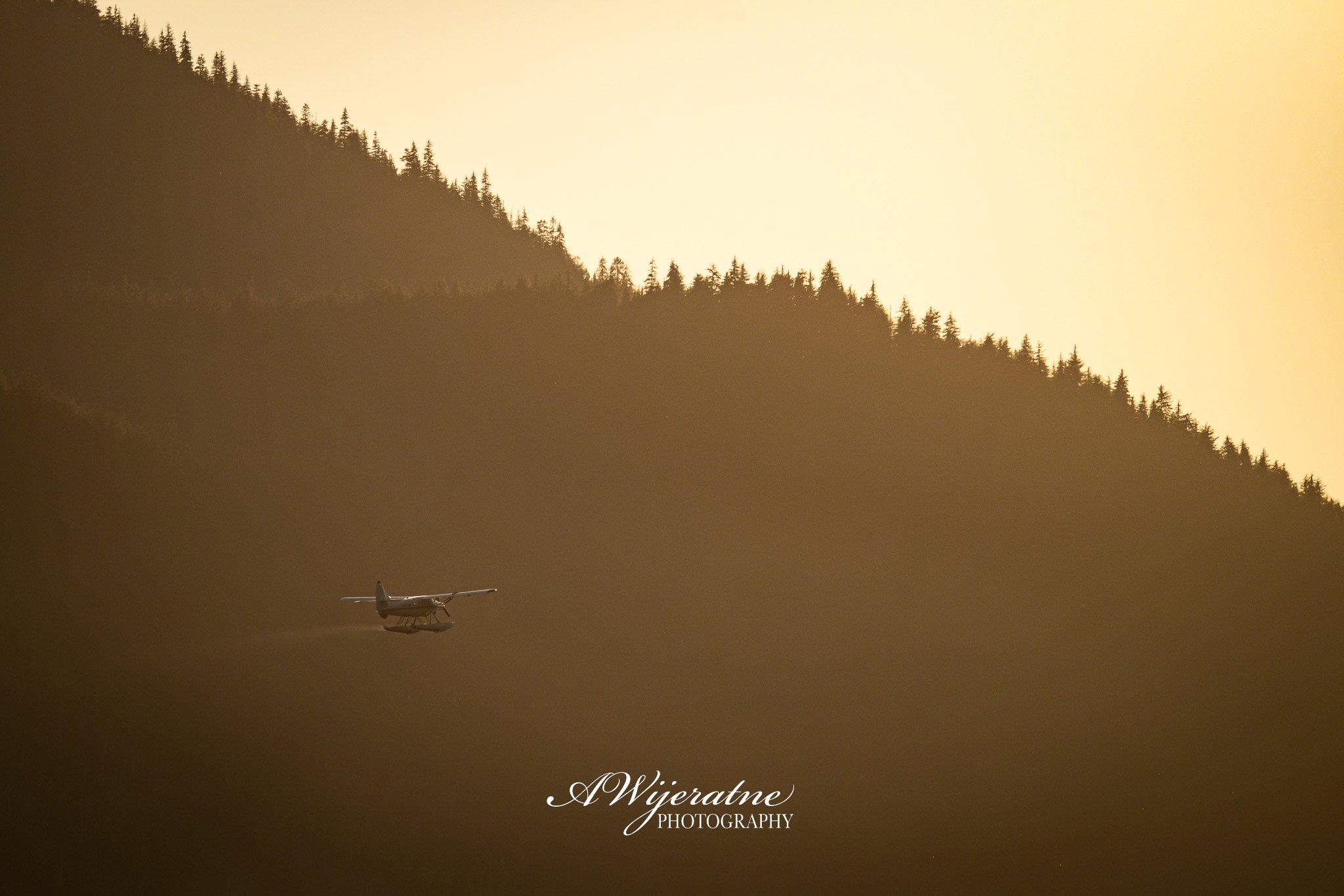 A small aircraft flying over a forested mountain at sunset or sunrise.