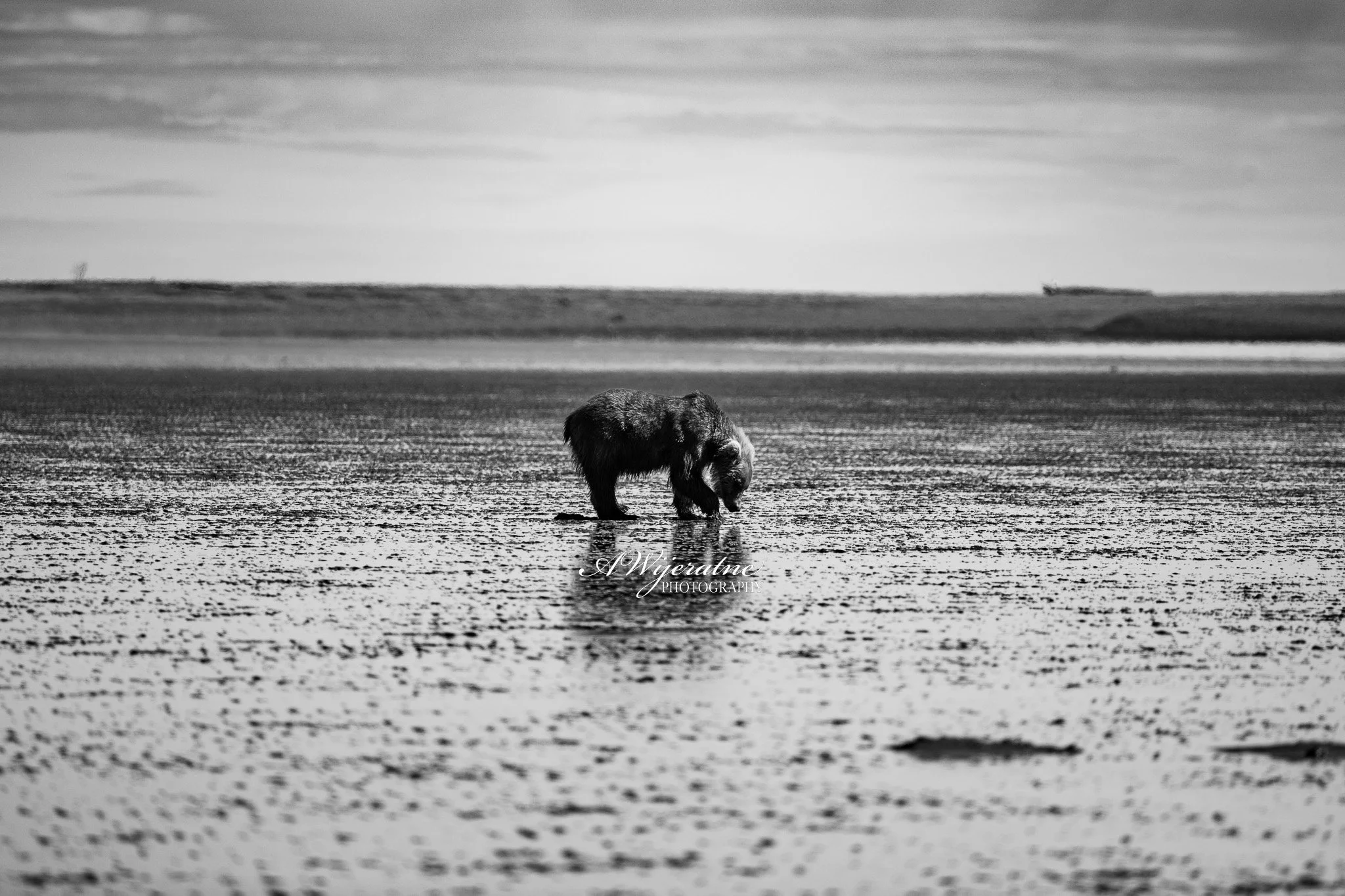 DSC_0129.jpg