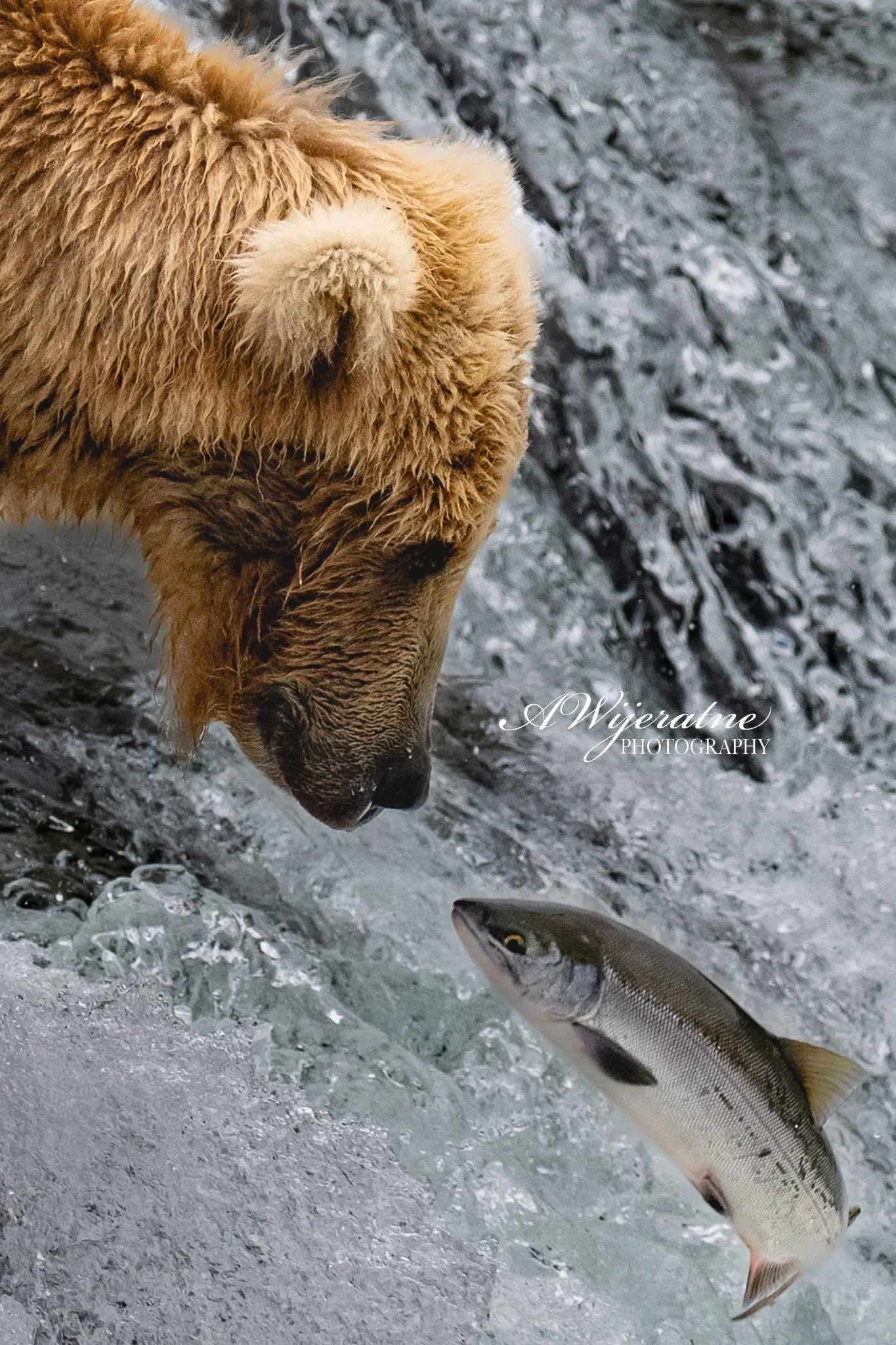 DSC_2586.jpg