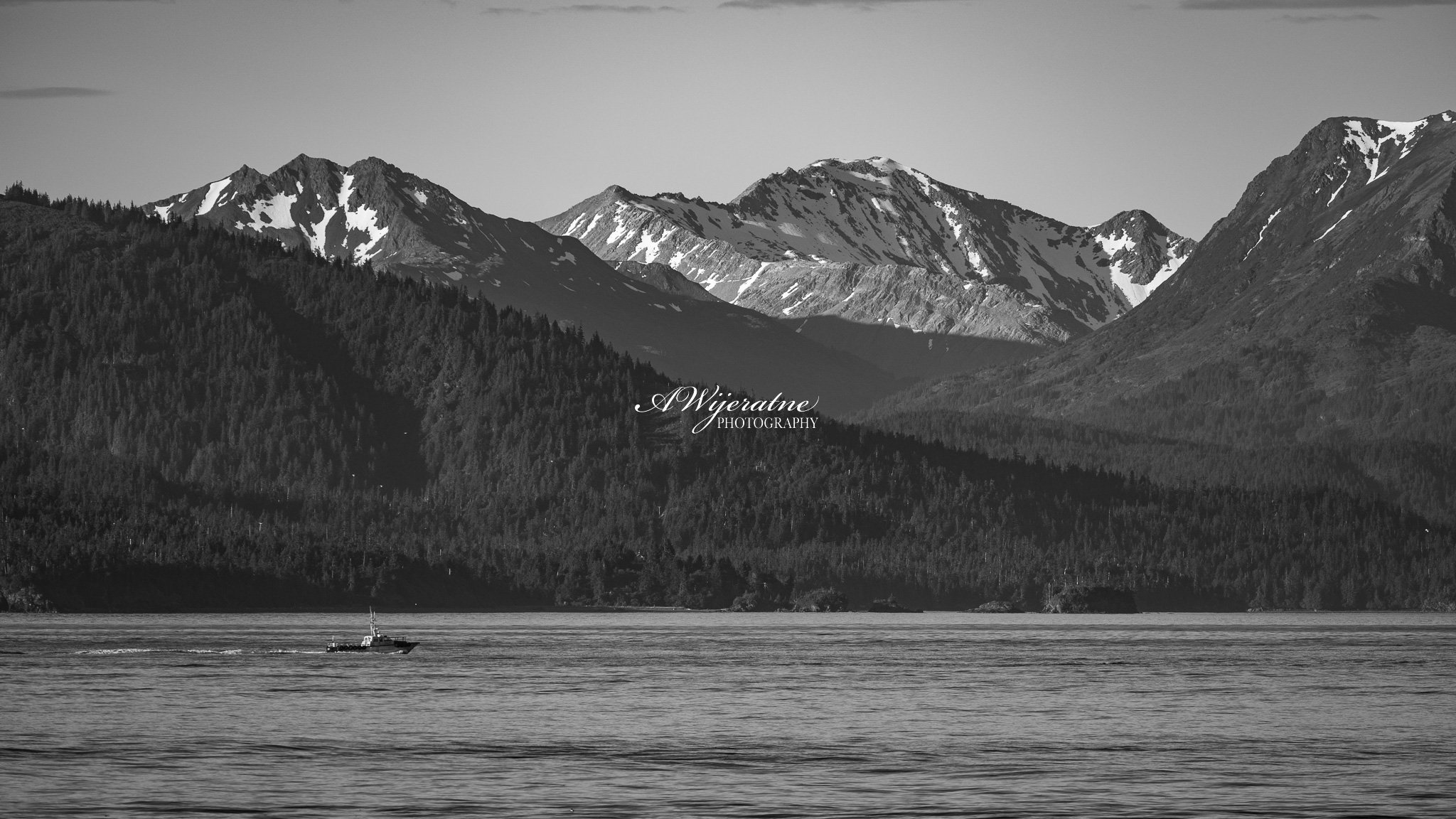 DSC_0406.jpg