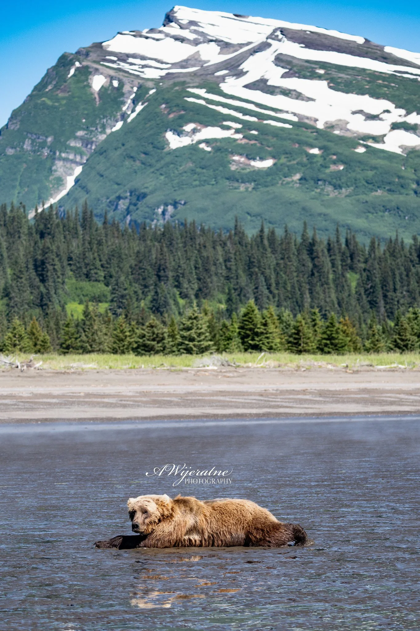 DSC_0169.jpg