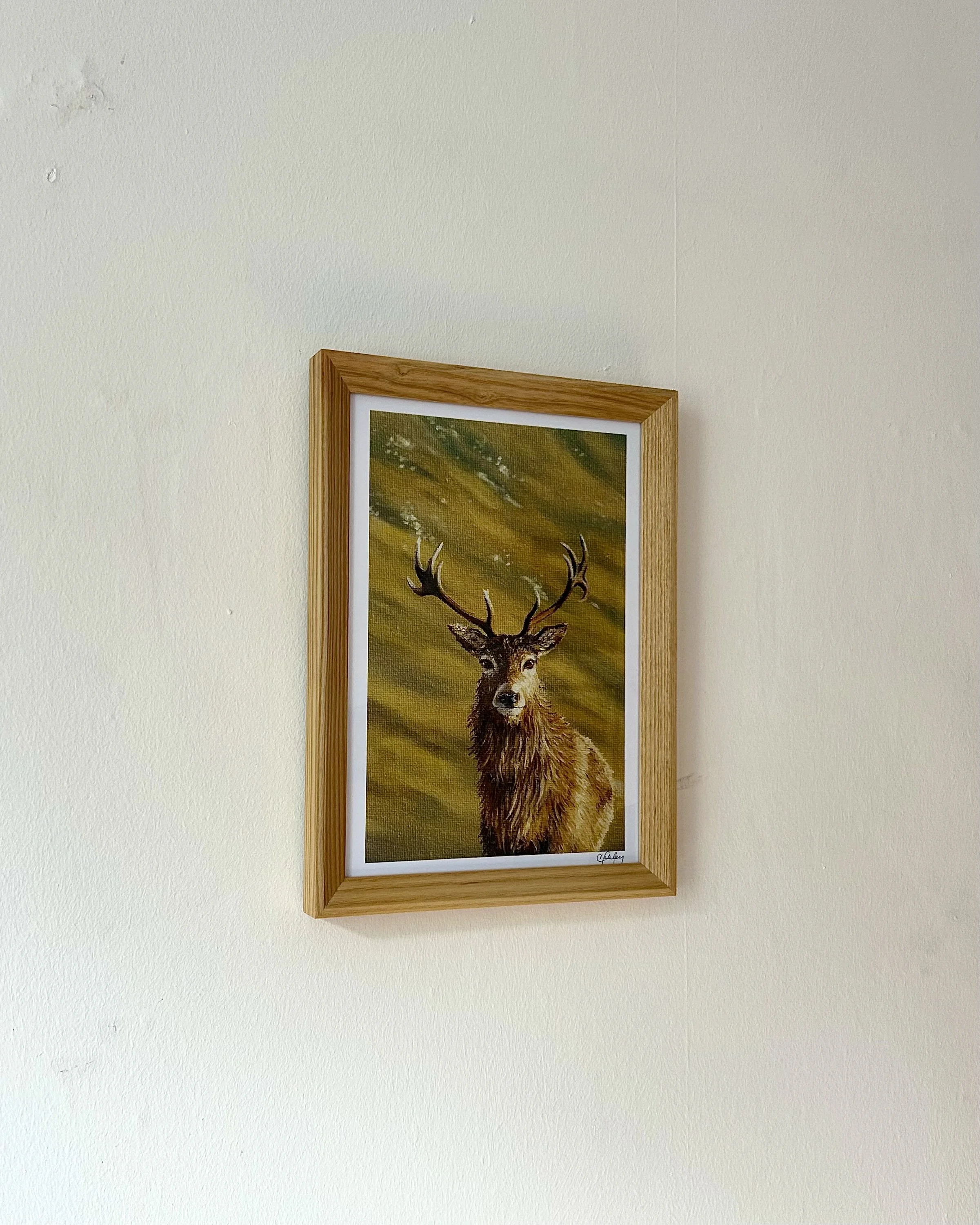 Deer.jpeg