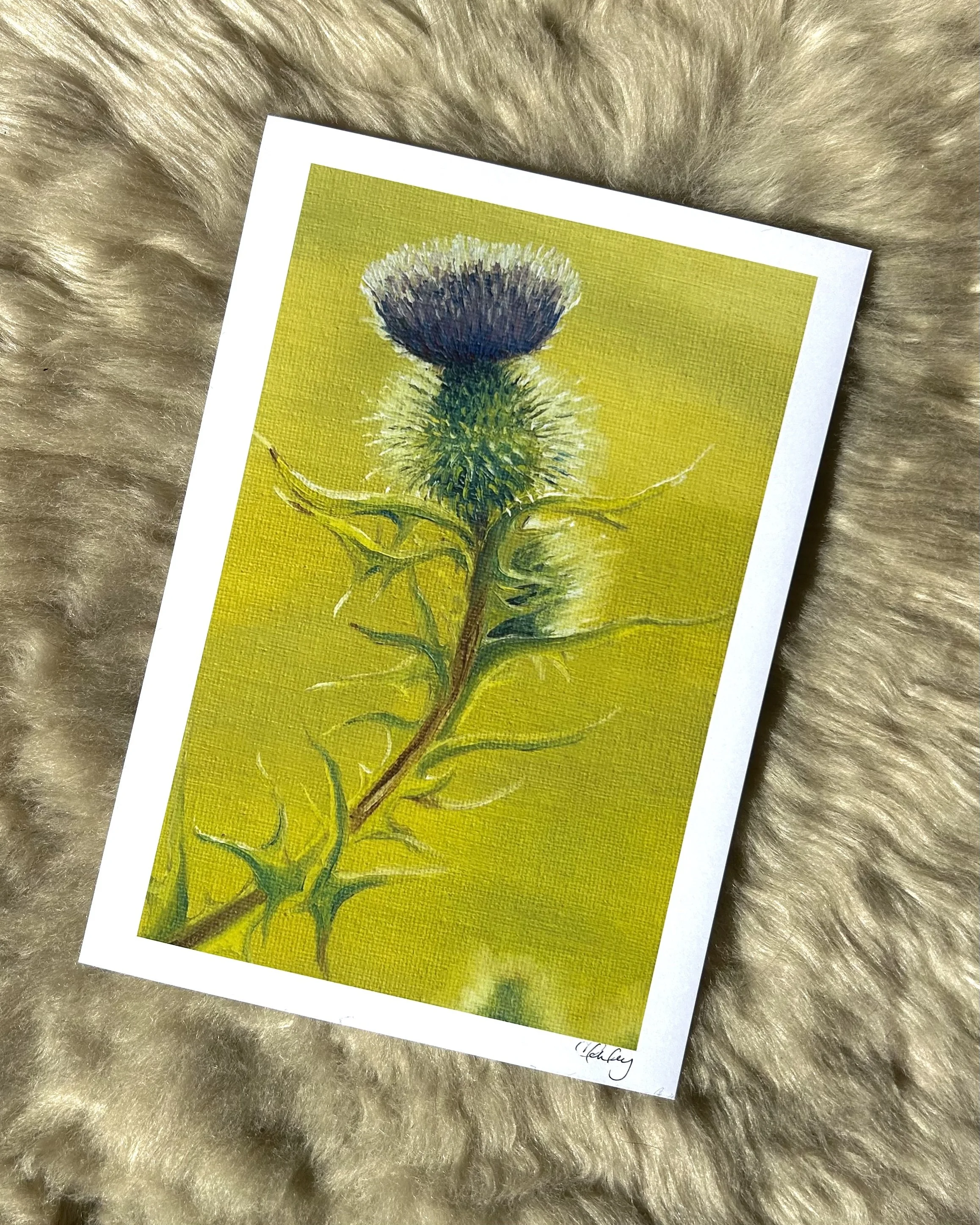Prickly Purple