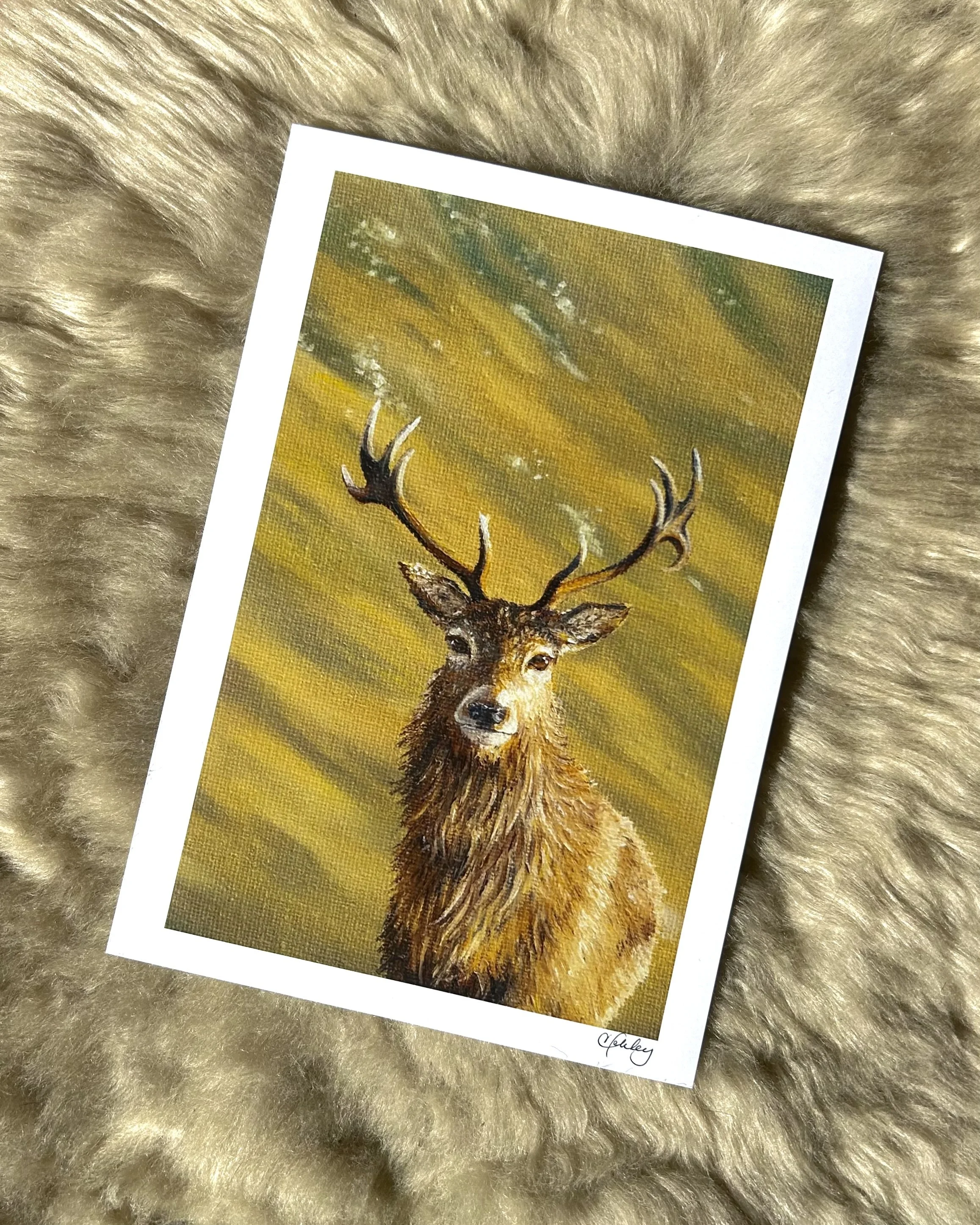 Prince of the Glen