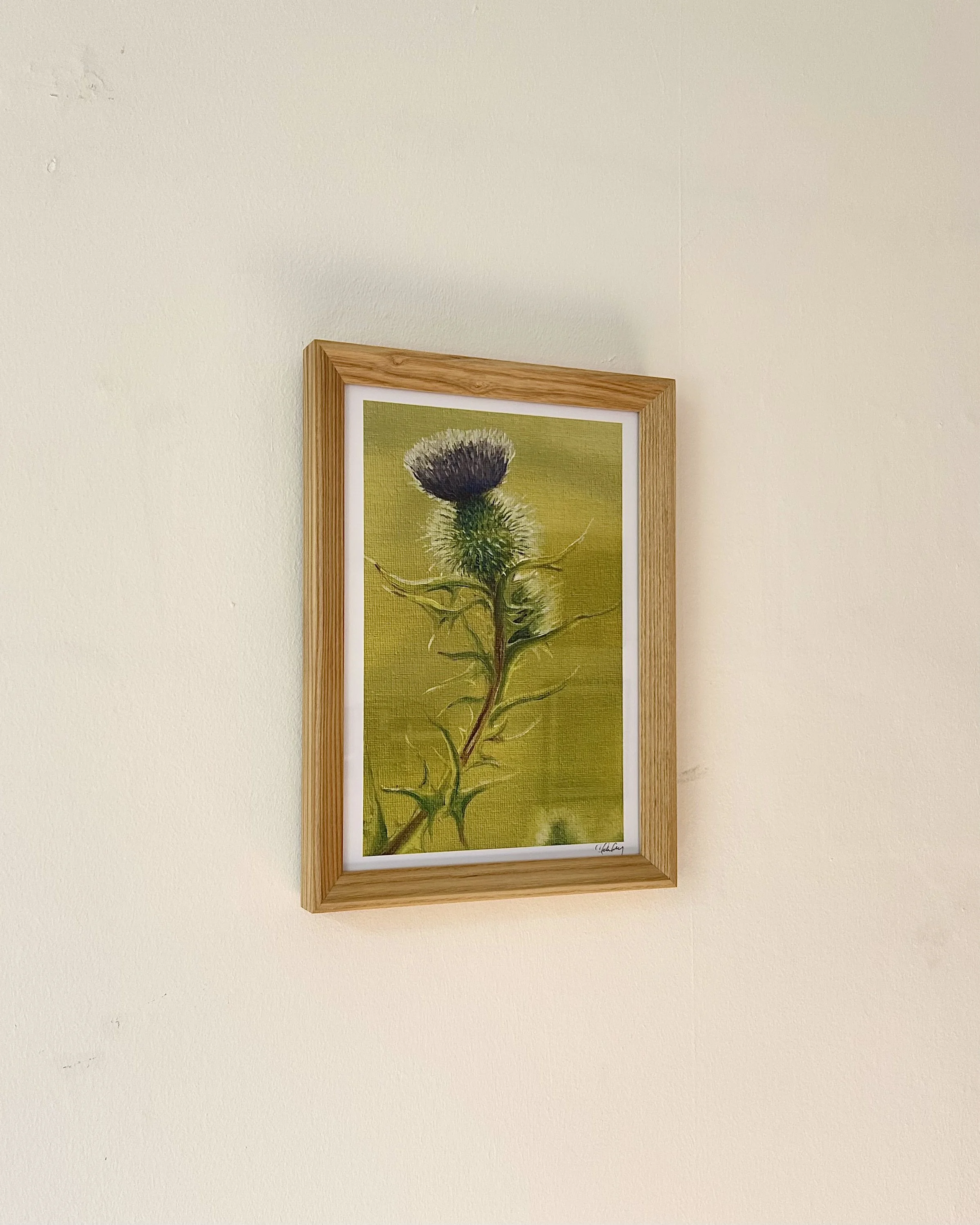 Thistle.jpeg