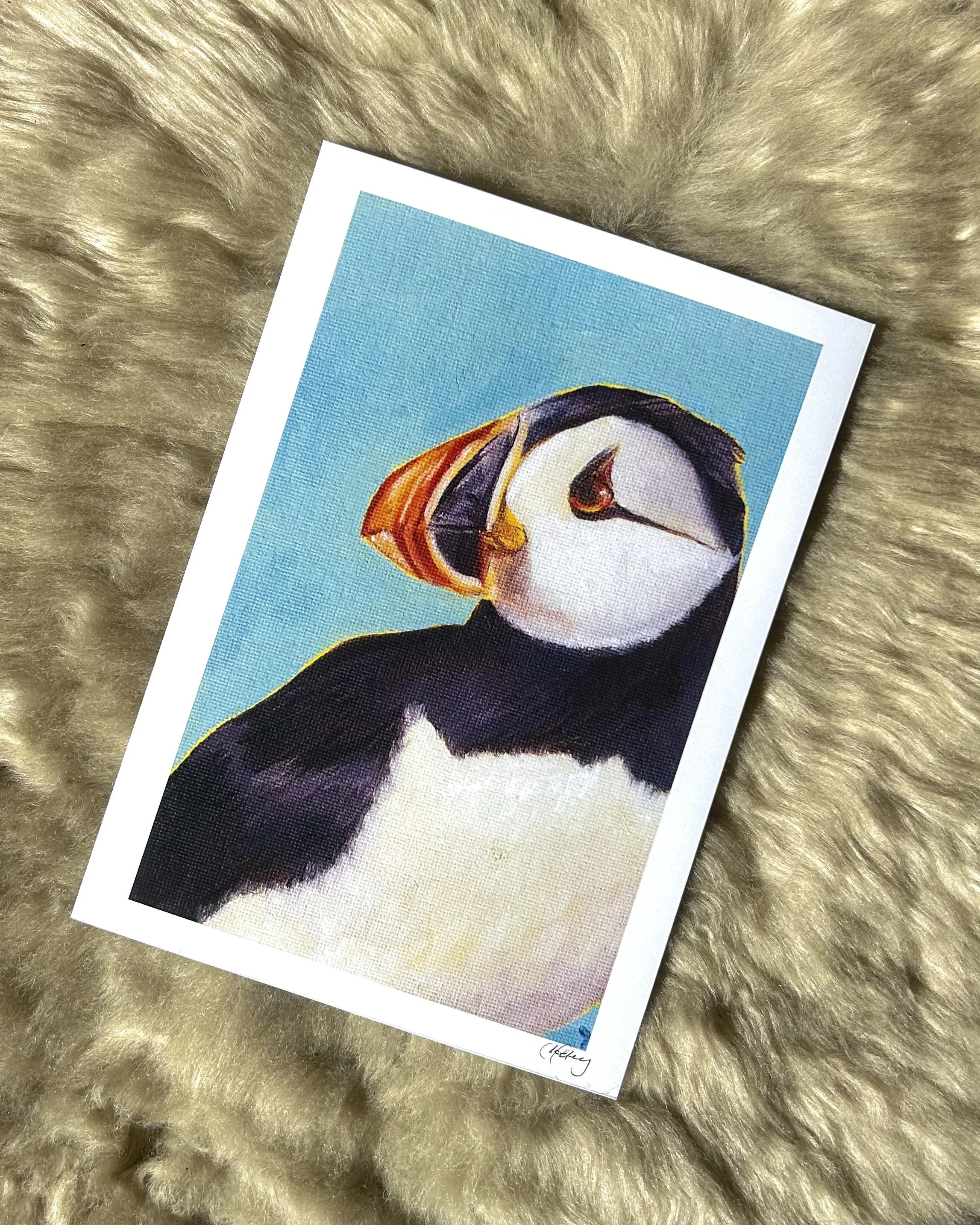 Puffin To See Here