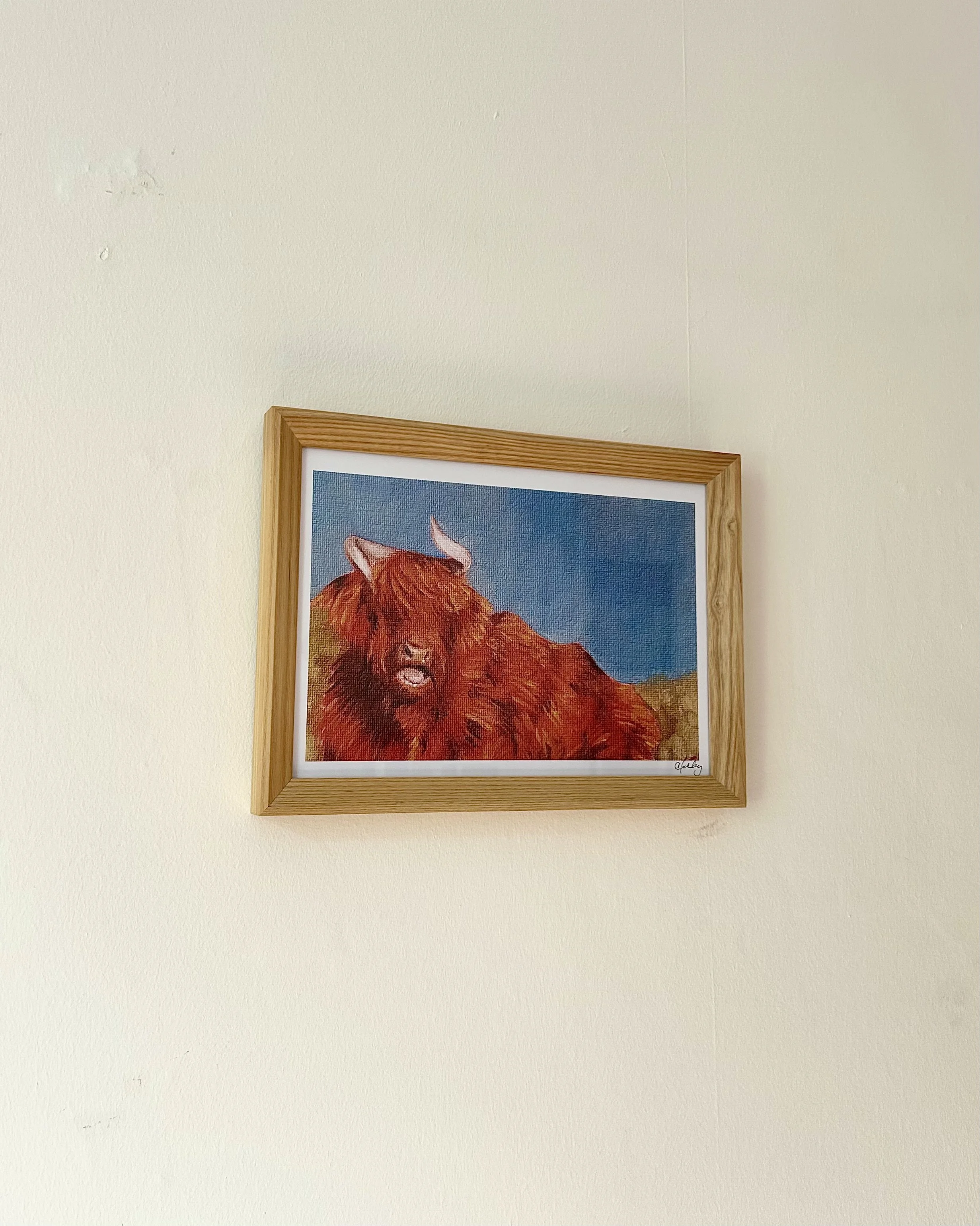 Cow.jpeg