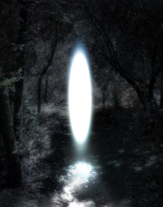 A glowing, vertical light in the middle of a dark forest or wooded area with trees on either side.