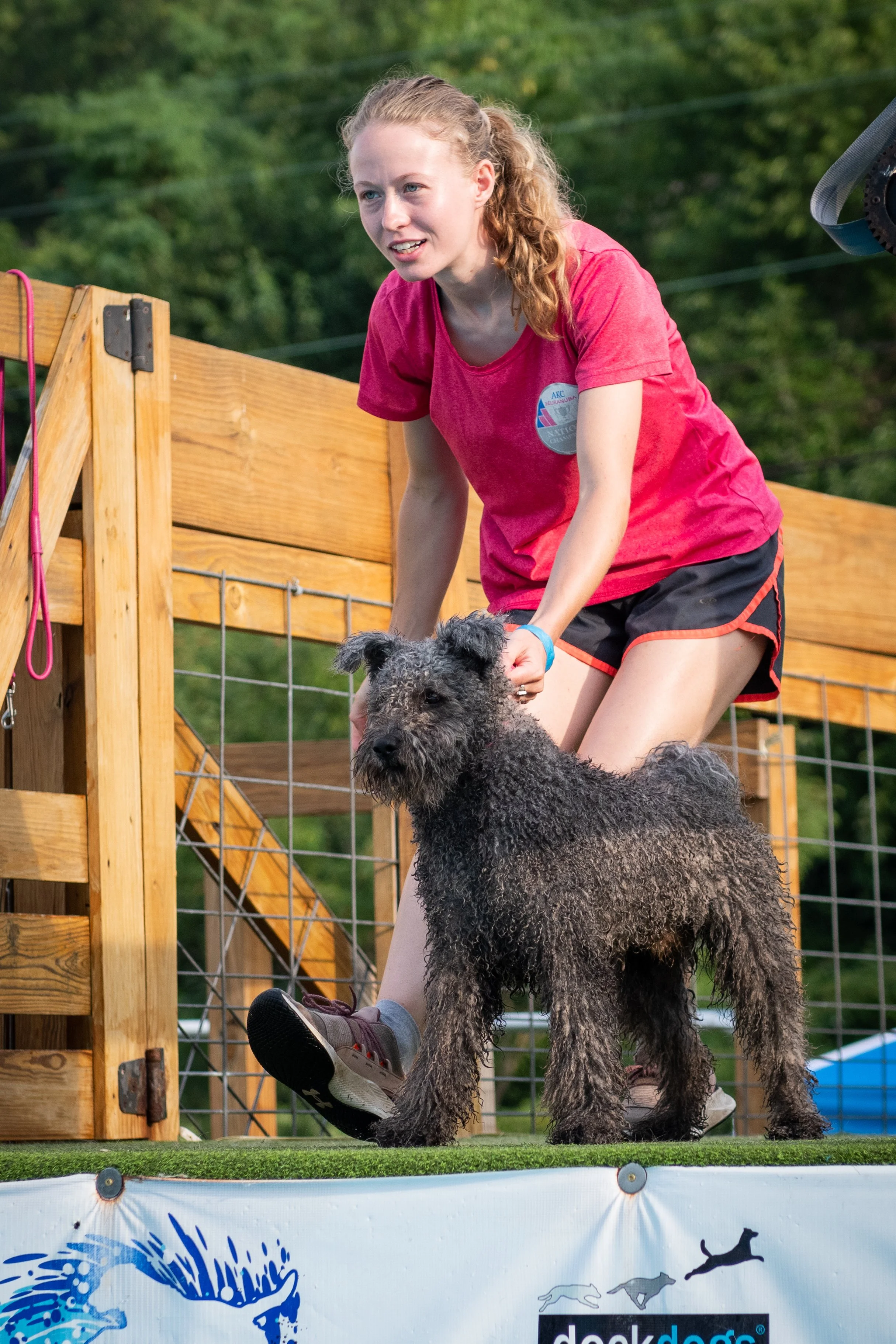 A woman in a pink T-shirt and shorts is holding a large gray Hungarian Pumi dog on a leash at a dock dog competition, with a wooden fence and trees in the background.