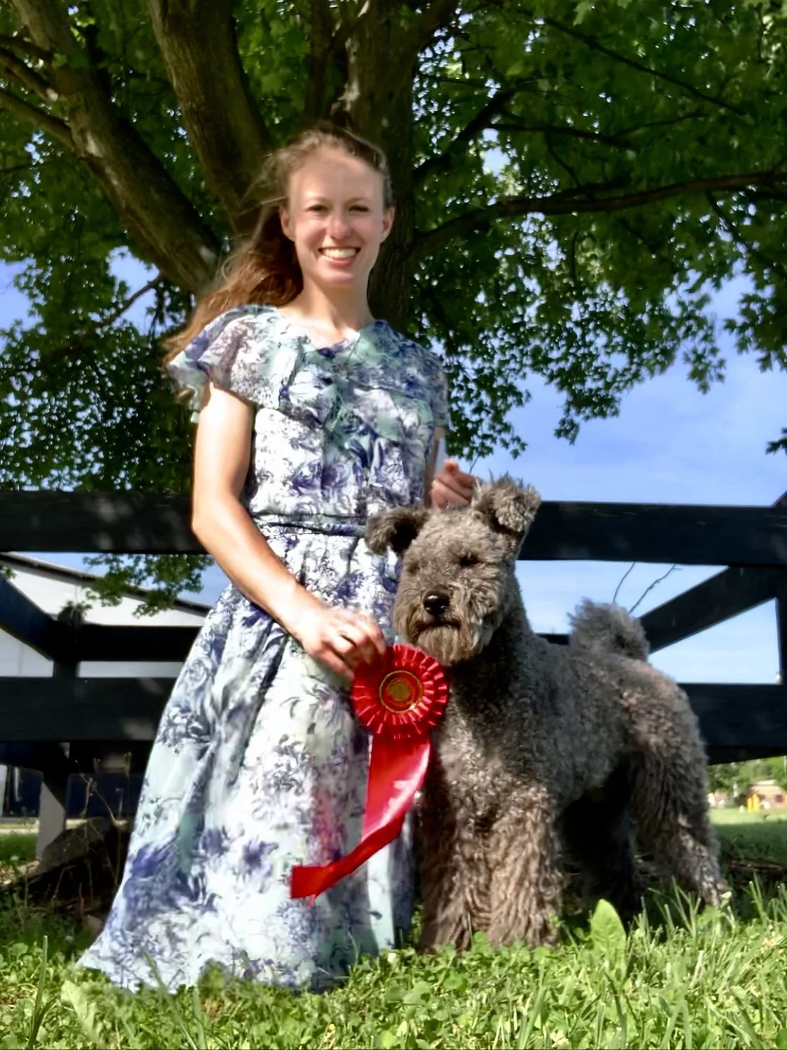 A young woman in a floral dress stands outdoors under a large green tree, holding a gray Hungarian Pumi show dog with a red ribbon or rosette attached to its collar.