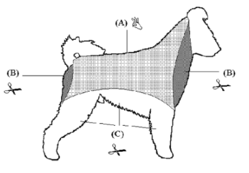 Diagram of a Hungarian Pumi dog with labeled parts showing the head, back, and tail, along with scissors indicating fur trimming areas.