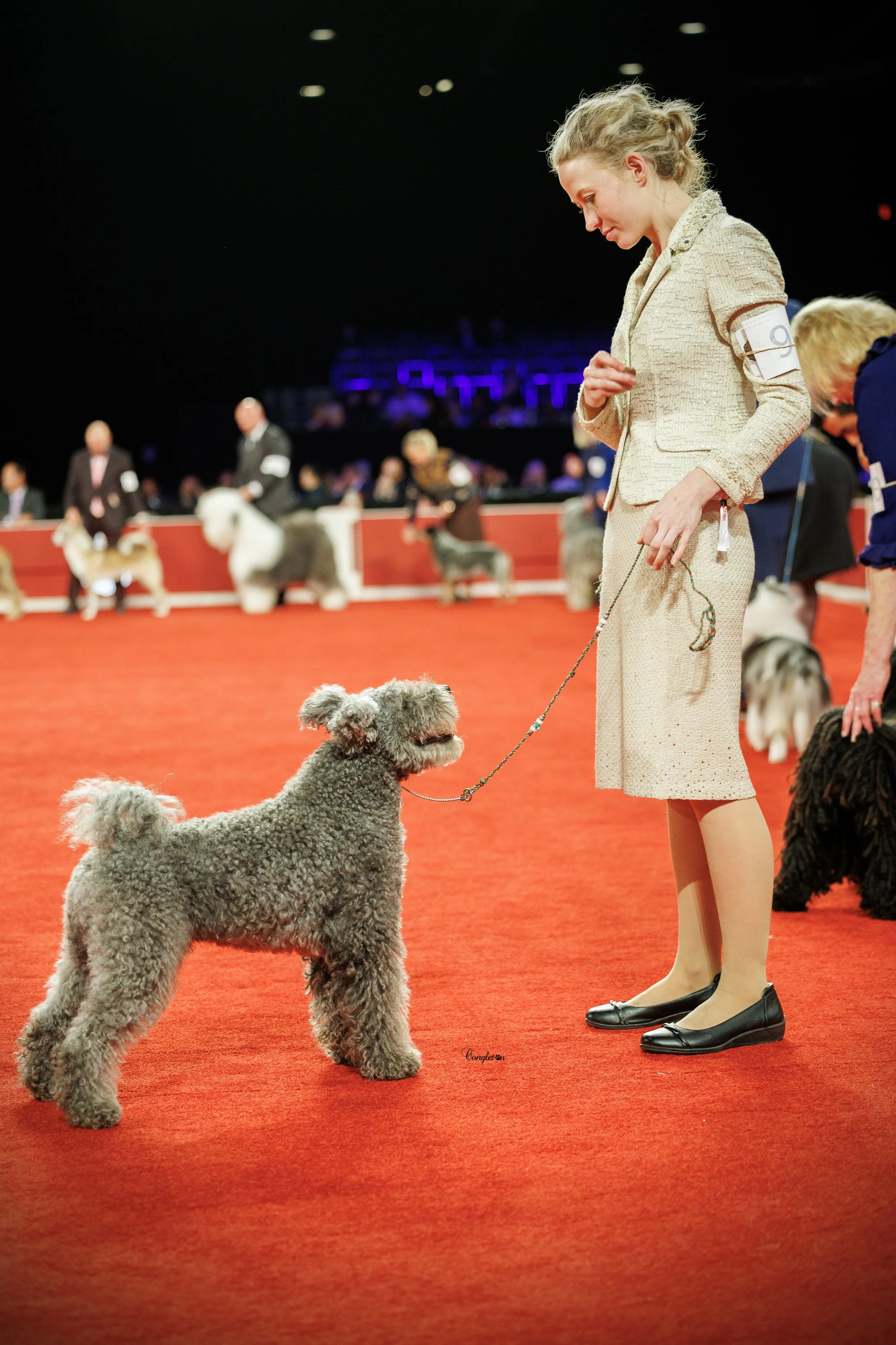 AKC National Championship