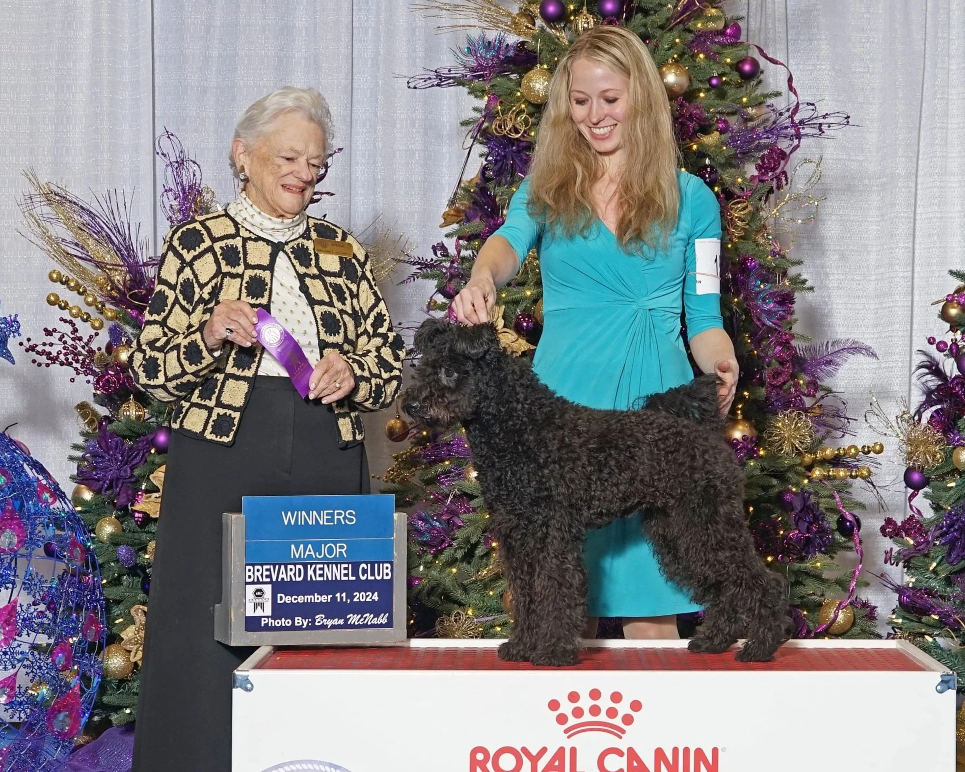 A woman in a turquoise dress and a woman with gray hair in a black and beige patterned jacket stand next to a black Hungarian Pumi on a red table, during a holiday event with decorated Christmas trees in the background.