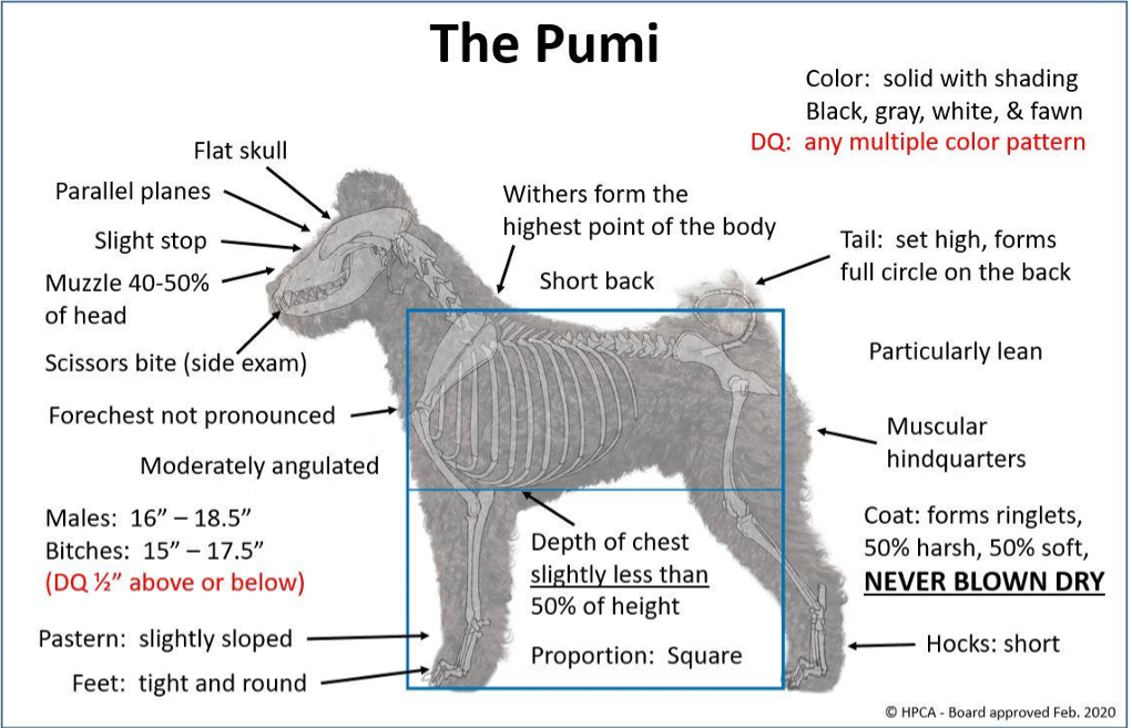 Pumi Quick Reference Guide 1