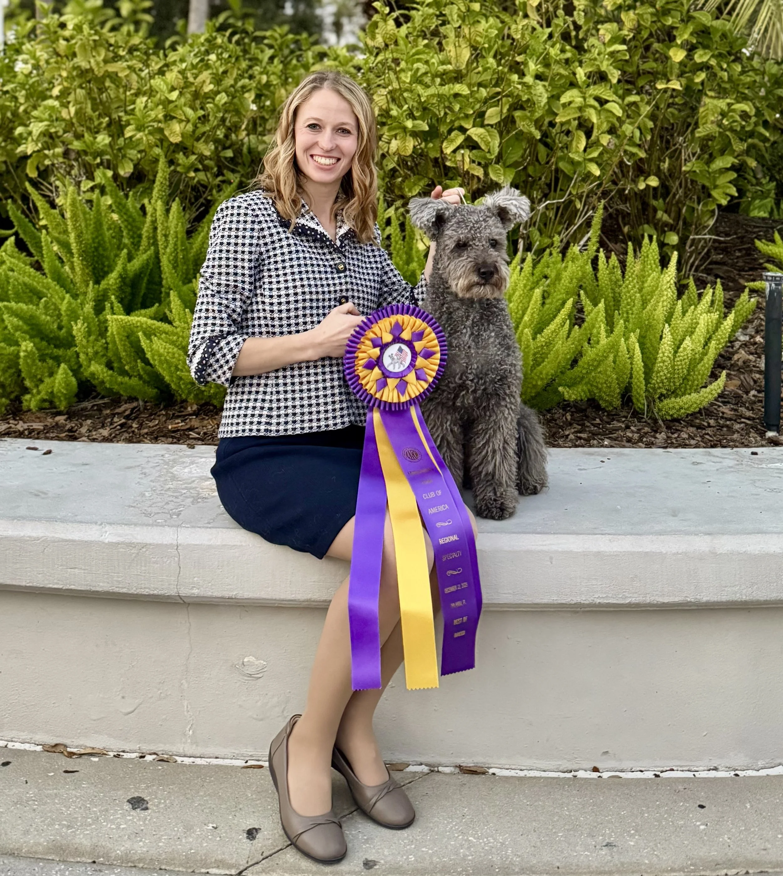 A woman in a black and white checkered blazer and navy skirt kneeling on the sidewalk holding a purple and yellow award ribbon, with a curly Hungarian Pumi show dog sitting next to her. She is smiling and standing in front of green bushes.