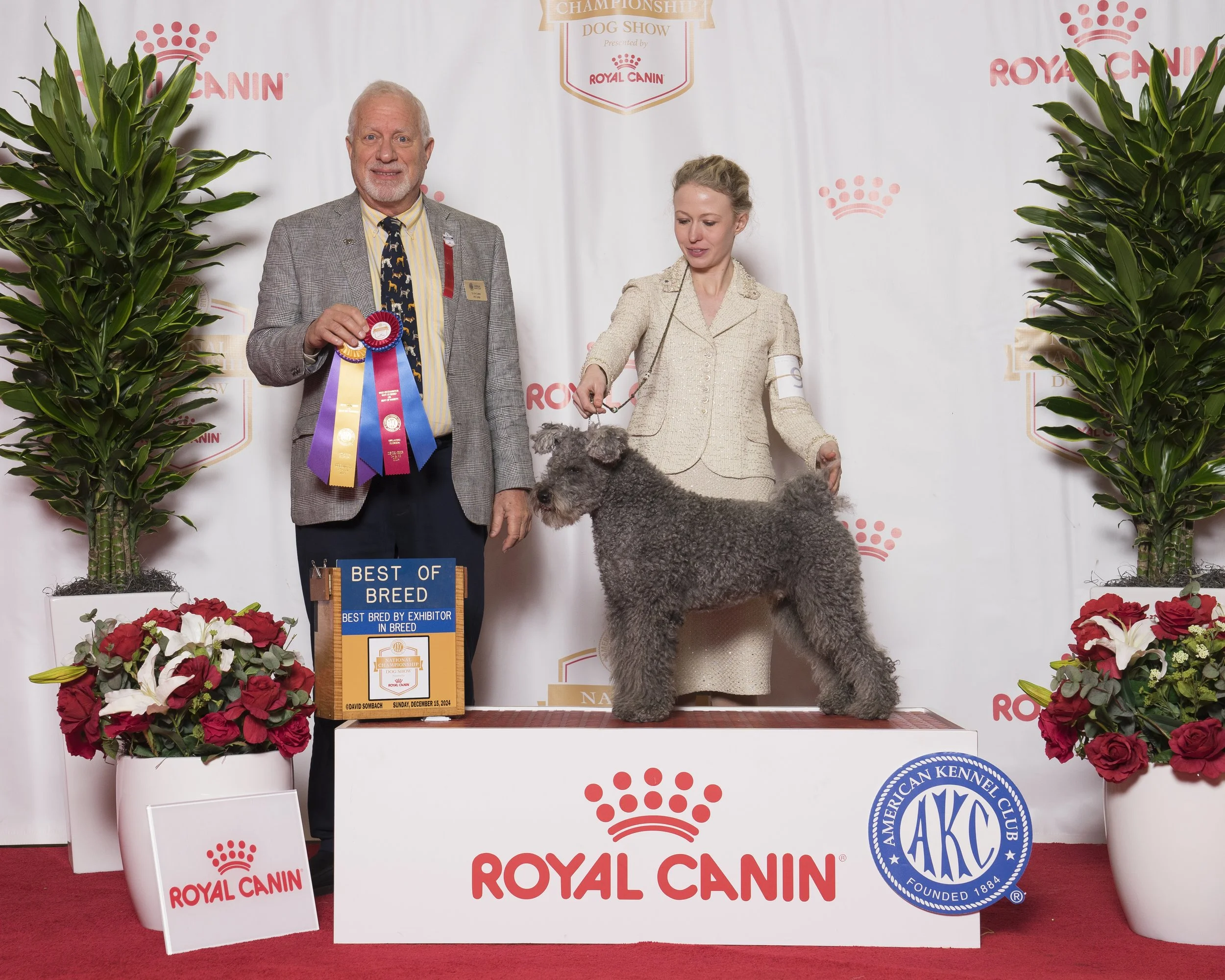 A man and woman standing on a red carpet at a dog show, posing with a large gray Hungarian Pumi. The man is holding several colorful ribbons, and the woman is guiding the dog. The backdrop displays logos for Royal Canin and AKC.