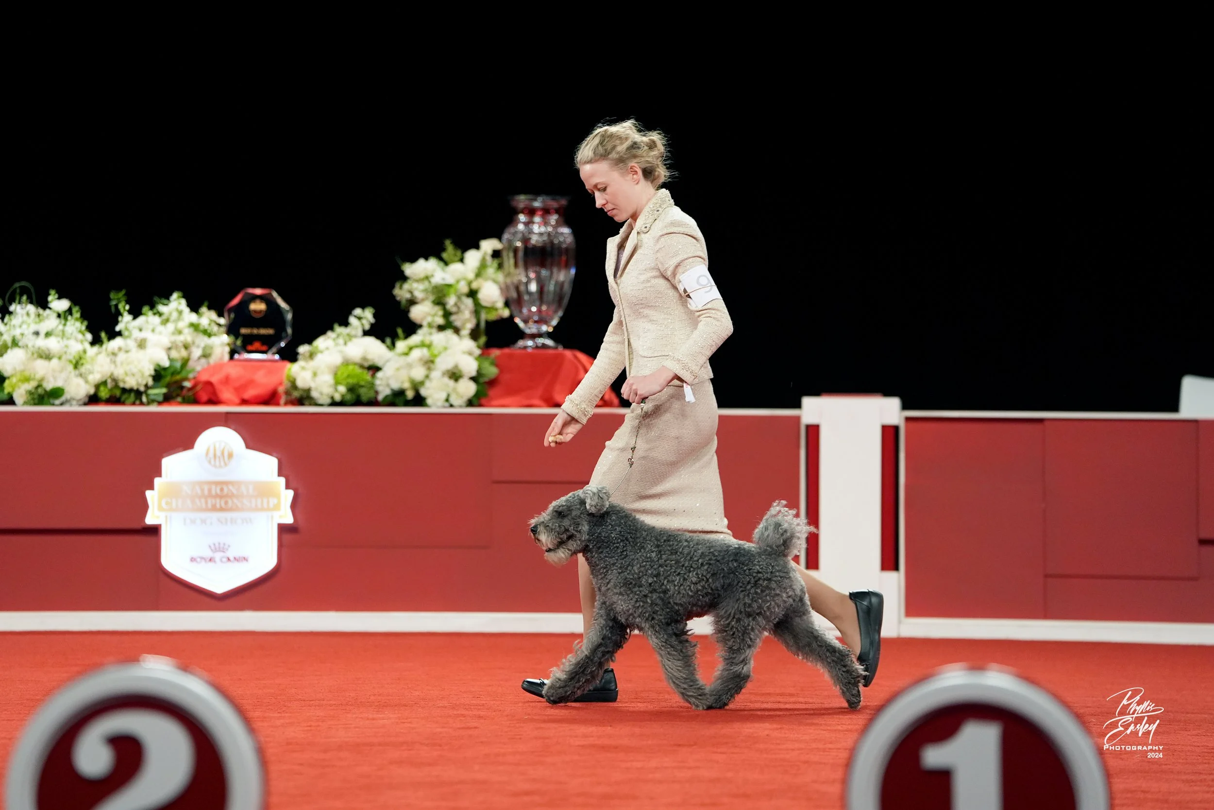 Dog handler Maggie Lundquist and Pumi Fig at the American Kennel Club National Championship in 2024, Orlando, Florida.