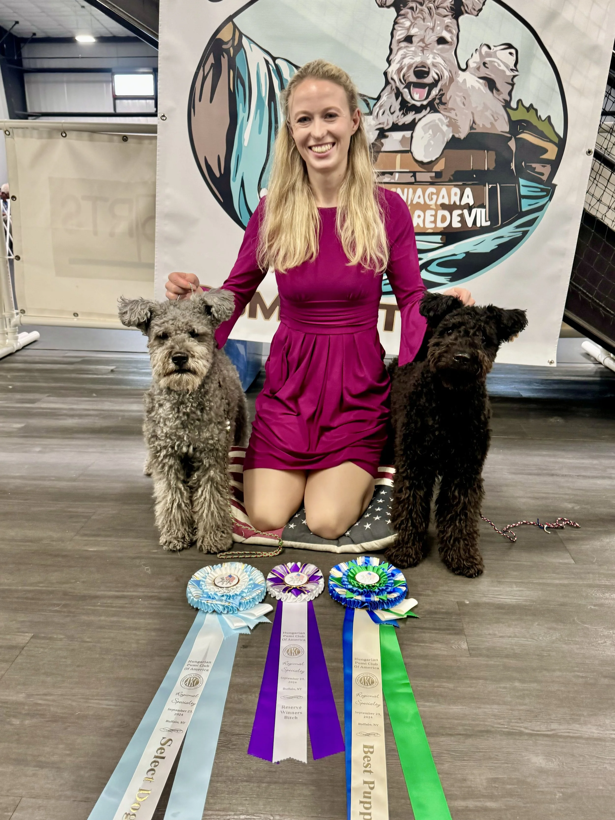 A woman kneeling on the floor with two Hungarian pumi dogs, surrounded by colorful ribbons and awards, at a dog show event, with a backdrop featuring a dog logo.