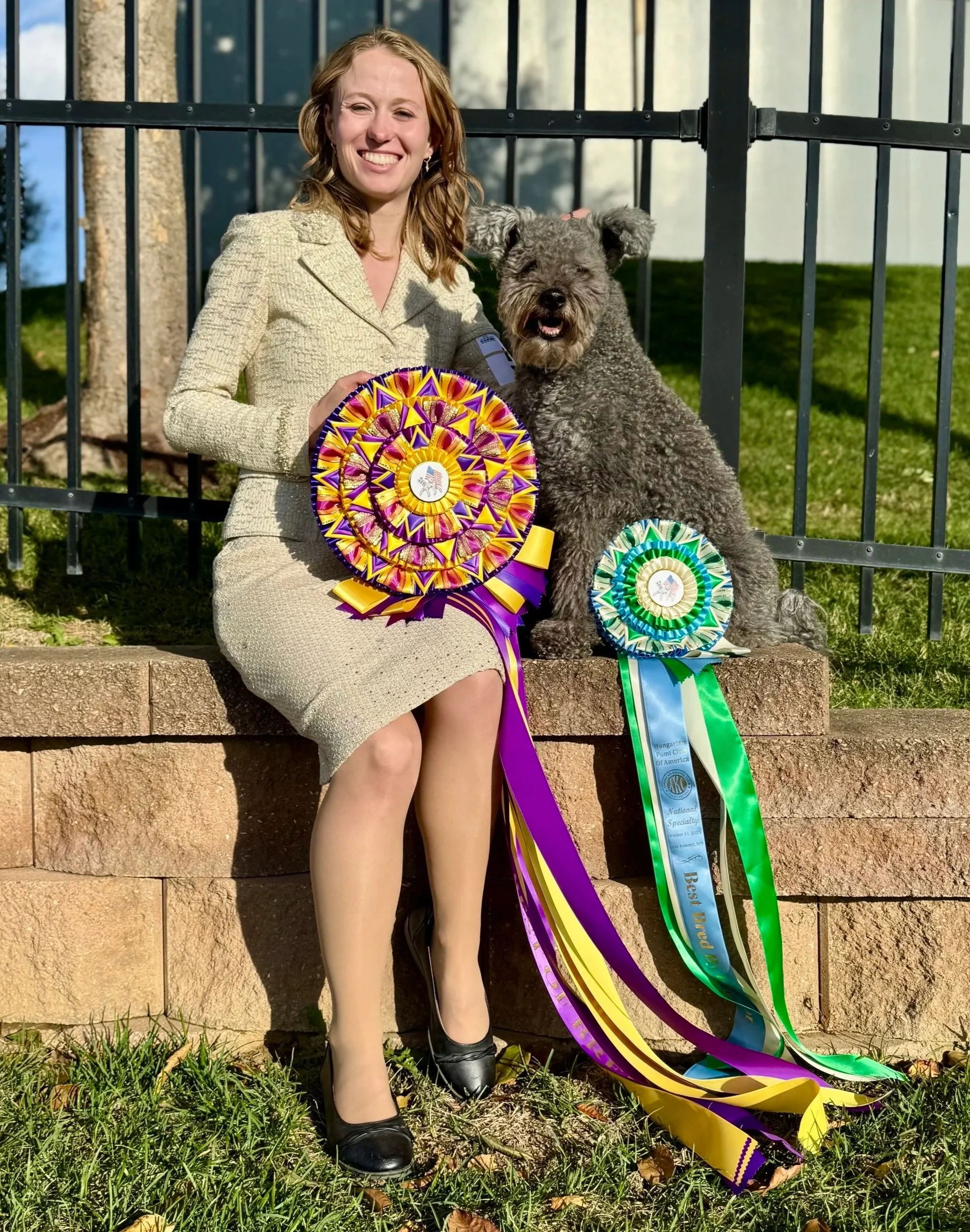 A woman in a light-colored blazer and black shoes sitting on a stone ledge, smiling next to a grey Pumi dog named Fig with curly fur. The woman is holding multiple colorful ribbons or award rosettes.