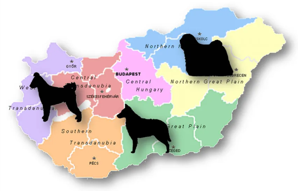 A map of Hungary with its regions labeled, featuring three black silhouette dogs positioned over different regions and towns.