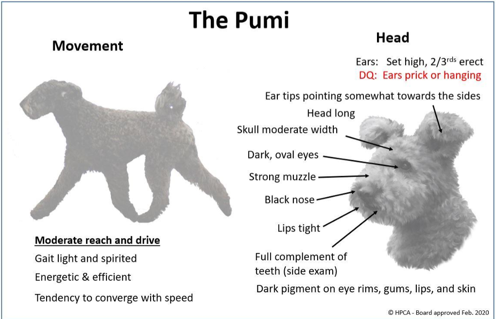 Pumi Quick Reference Guide 2