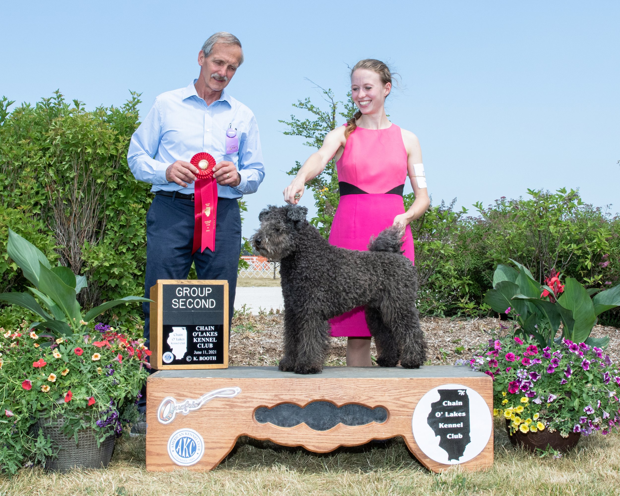 A man and woman stand behind a black curly haired Hungarian Pumi show dog on a platform. The man holds a group two award ribbon in his hands. 