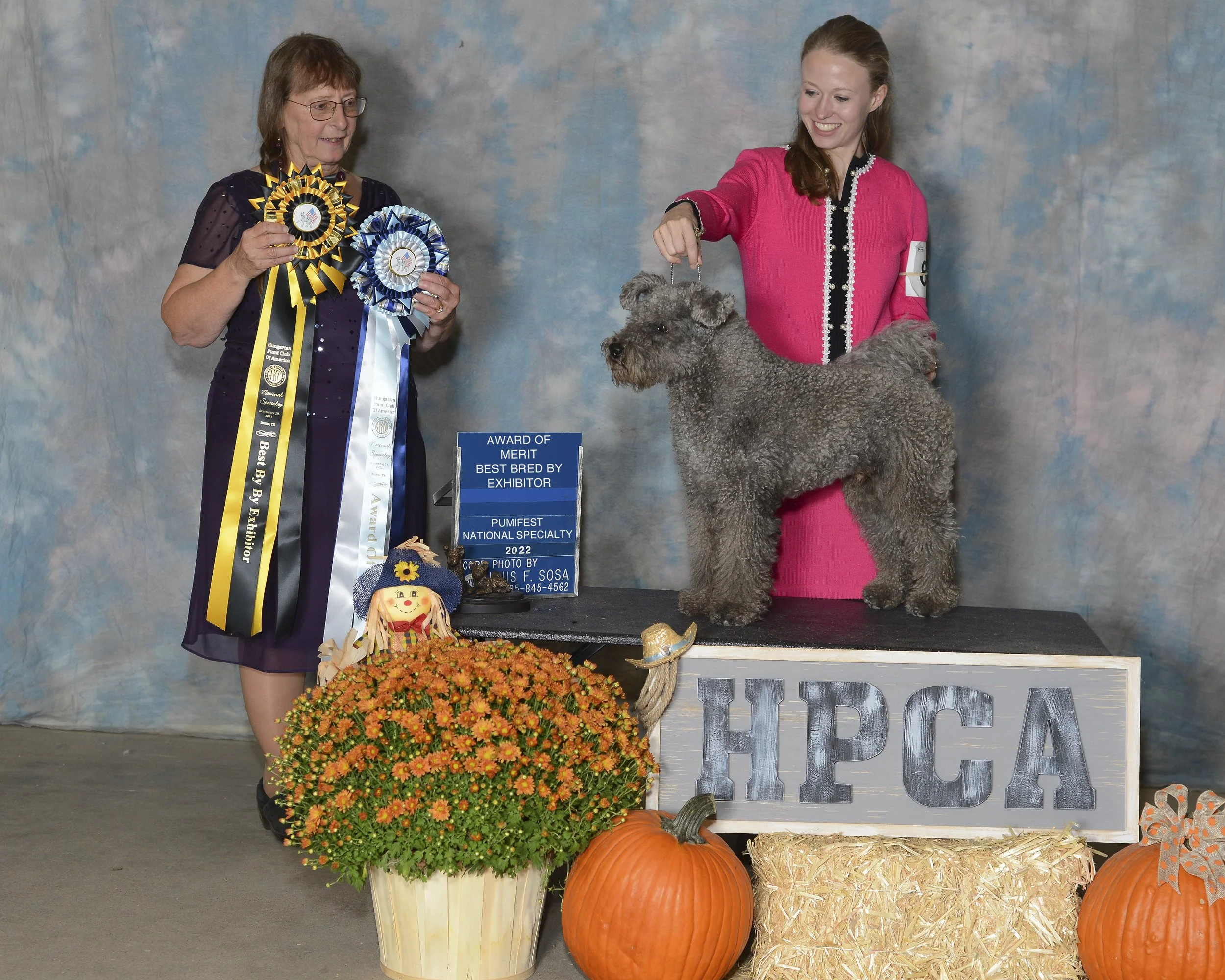 Two women at an award ceremony for a dog show with a gray Hungarian Pumi, a large orange pumpkin, and fall decorations including a small scarecrow, hay bales, and pumpkins.