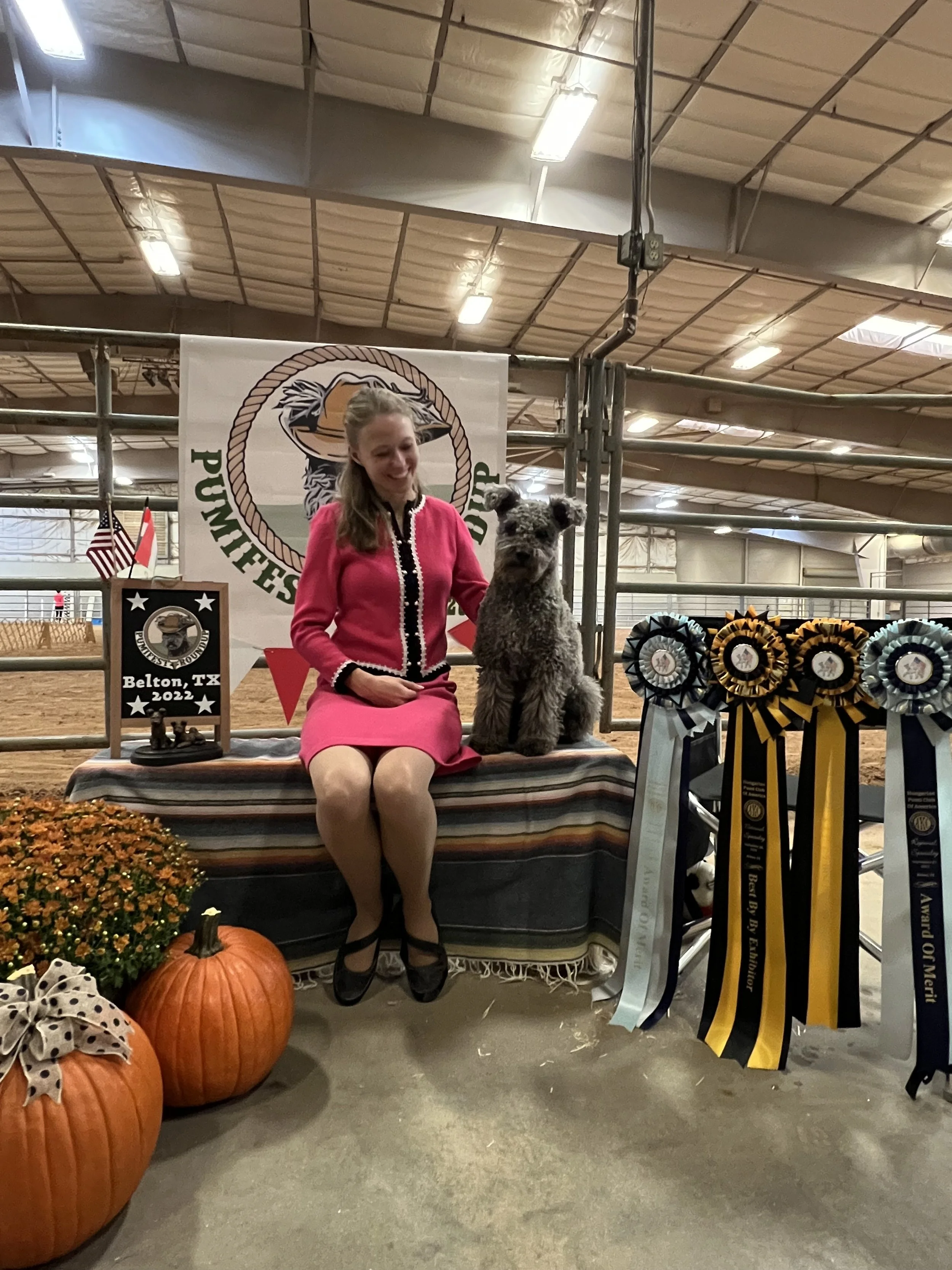 A woman in a pink dress sitting next to a Hungarian Pumi dog at a dog show, with ribbons and awards displayed nearby. The setting is an indoor arena with banners and orange pumpkins on display.