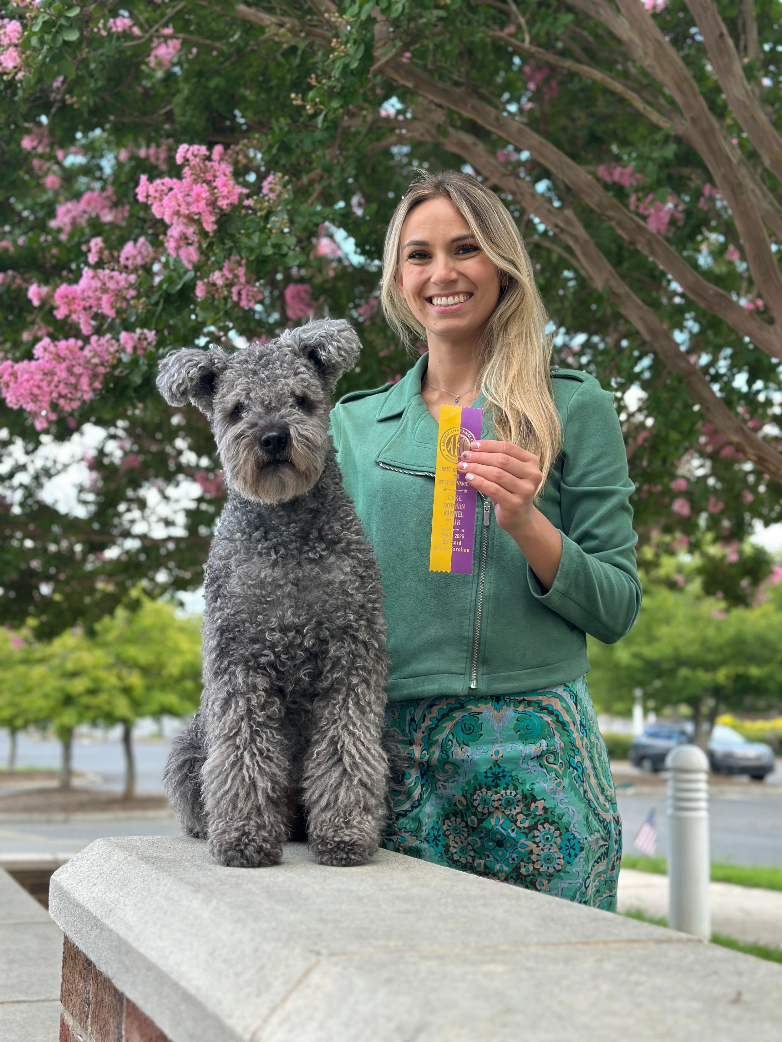 A woman smiling while holding a purple and yellow ribbon, standing beside a gray, curly-haired Hungarian Pumi showdog on a stone monument in an outdoor park with pink flowering trees in the background.