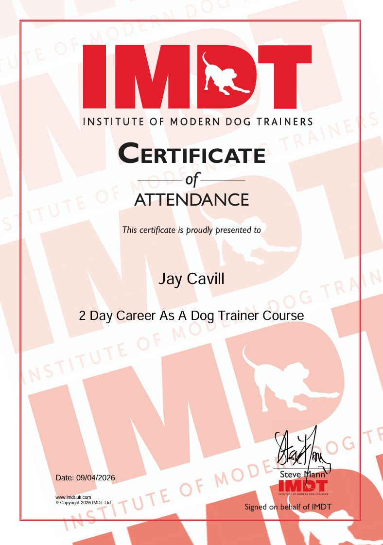 Certificate of attendance from the Institute of Modern Dog Trainers awarded to Jay Cavill for completing a 2-day dog trainer course, with signatures and the IMDT logo featuring a silhouette of a dog.