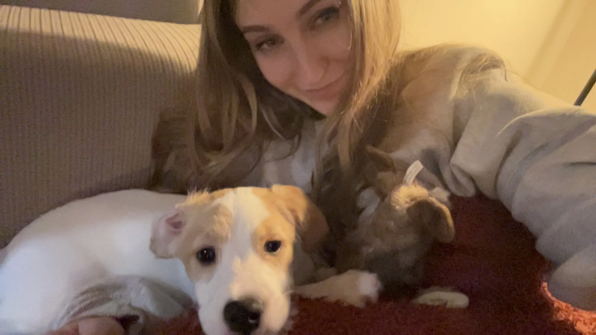 A young woman with long hair and a gray sweatshirt lying on a couch with three puppies, one white and tan, one gray and tan, and one brown, cuddled around her.