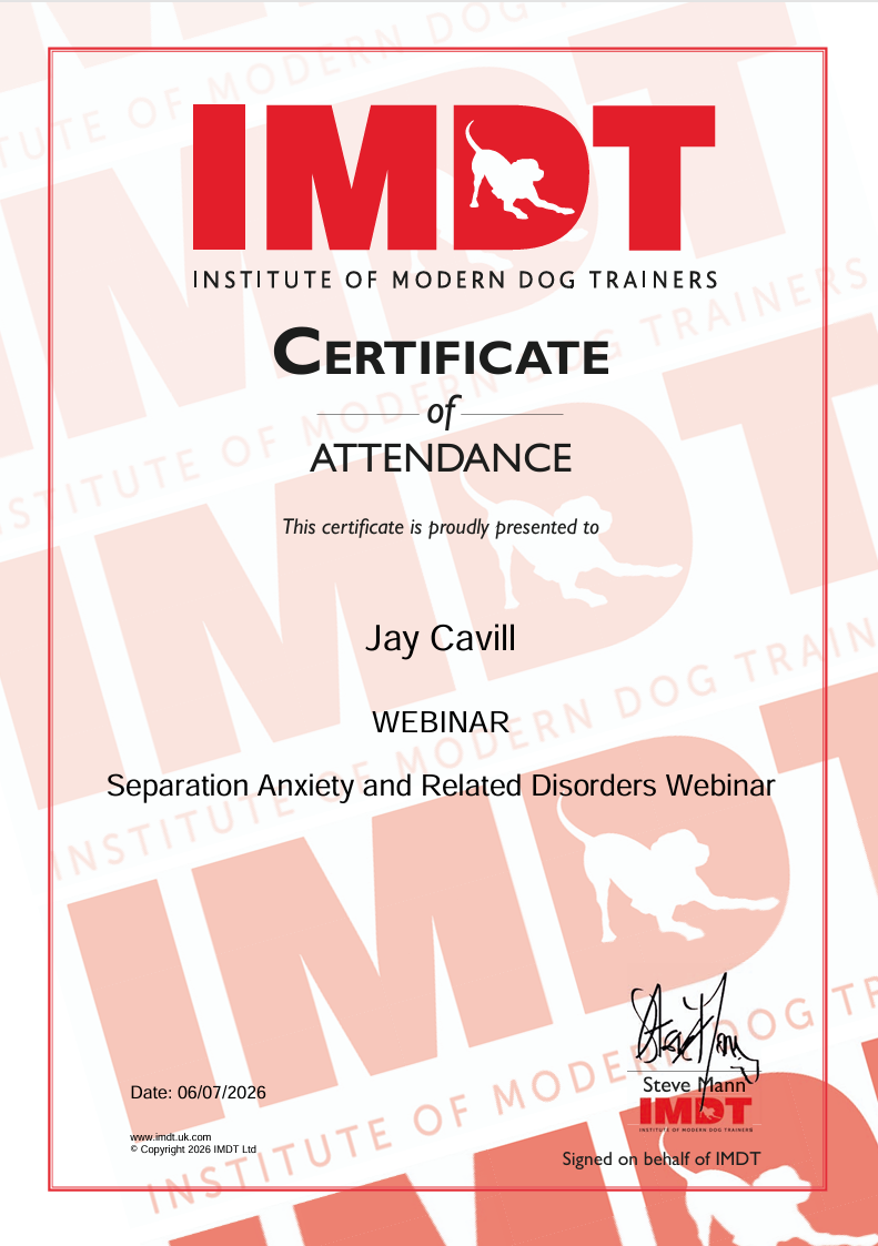 Certificate from the Institute of Modern Dog Trainers awarded to Jay Cavill for attendance at a webinar on Separation Anxiety and Related Disorders, dated June 7, 2026.