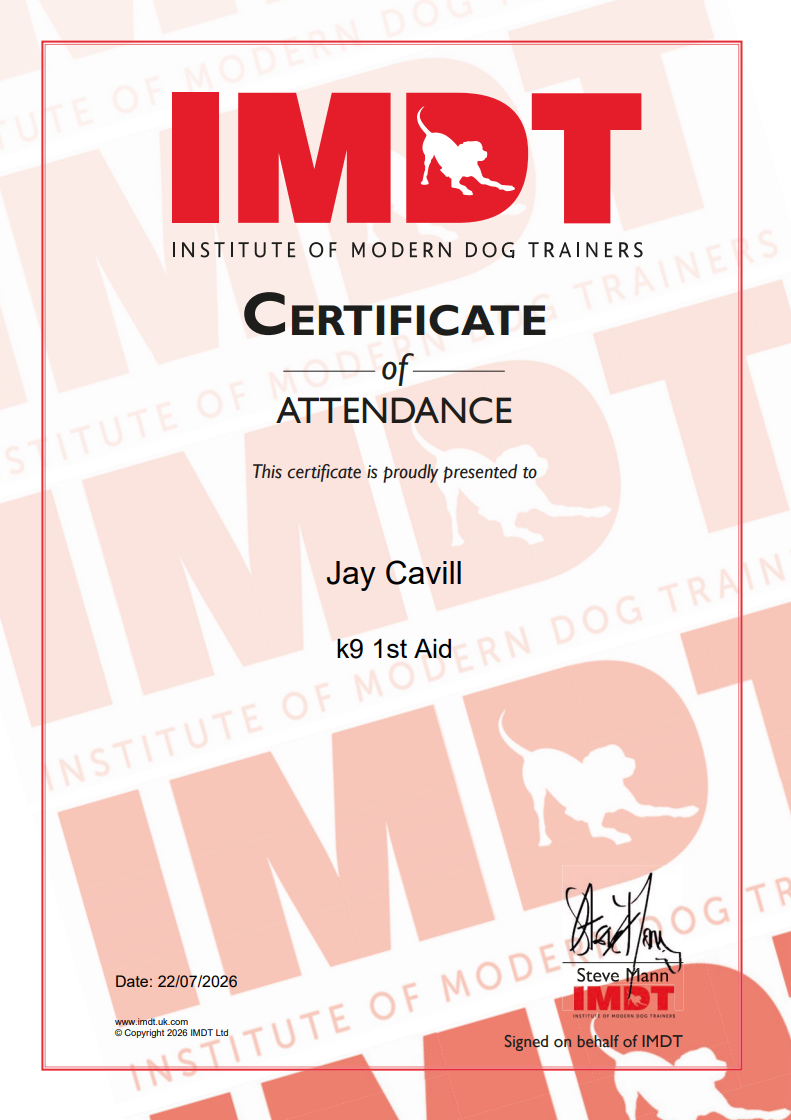 Certificate of attendance from the Institute of Modern Dog Trainers awarded to Jay Cavill for k9 1st Aid, signed by Steve Mann.