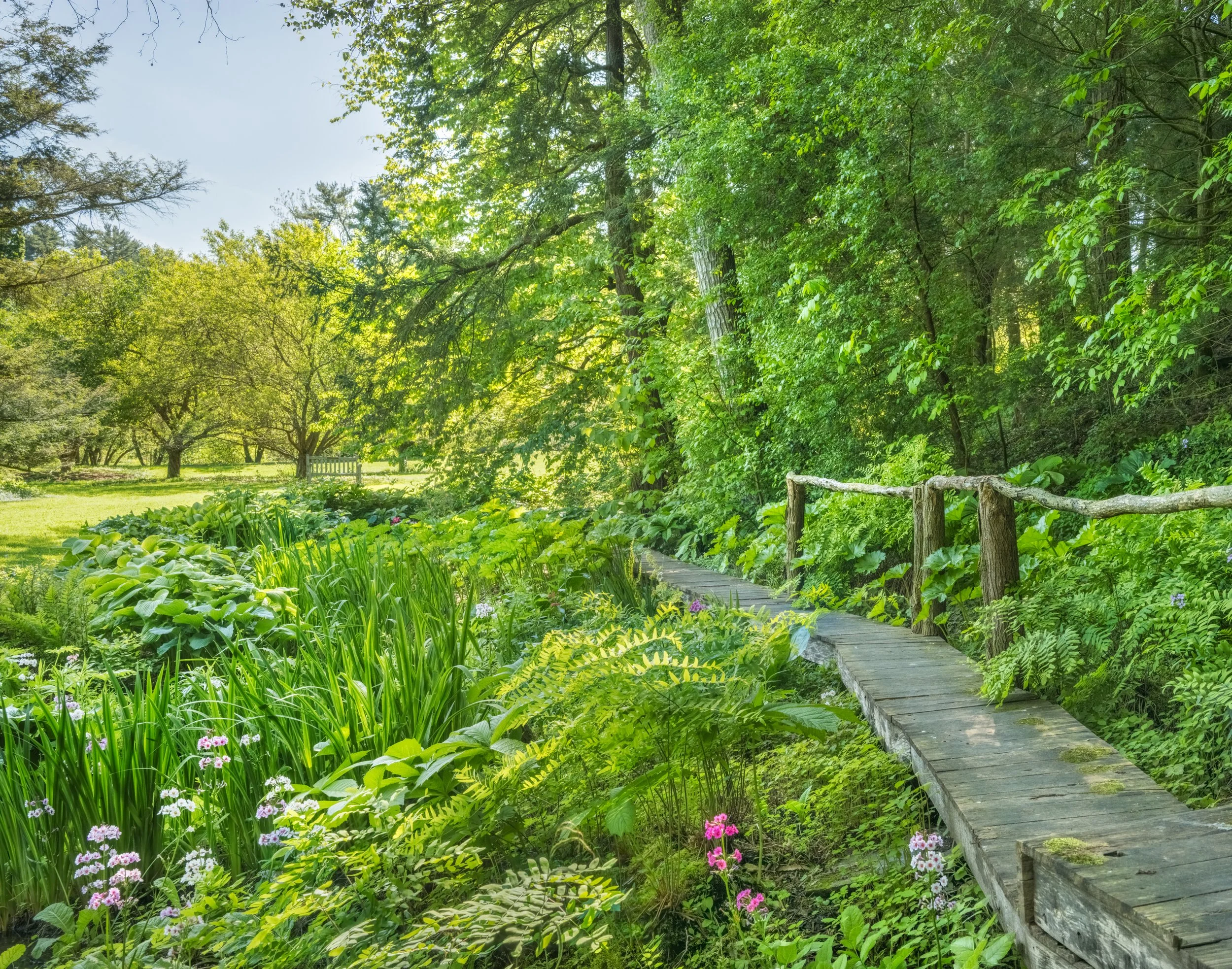 Cornell Botanical Gardens