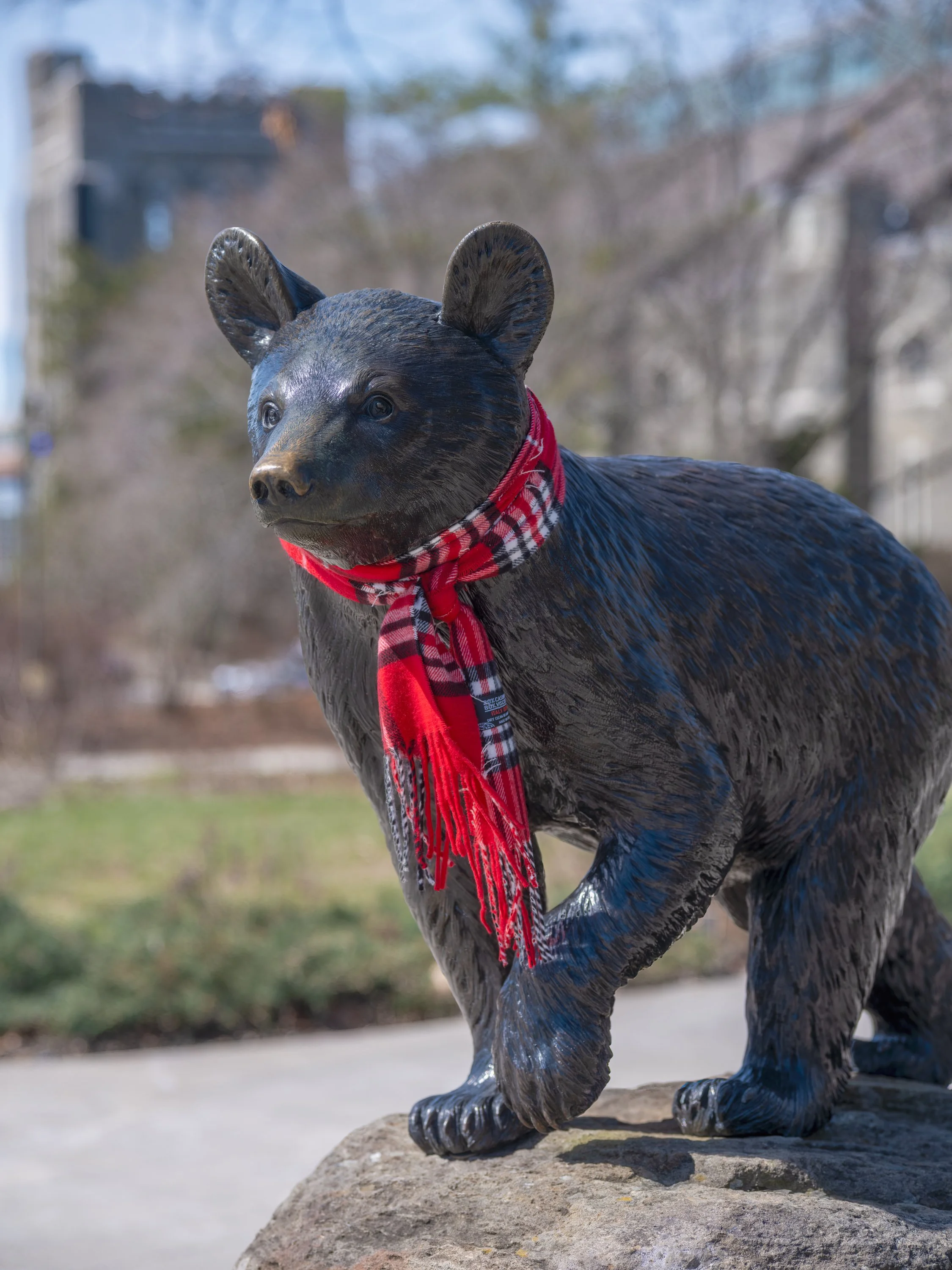 Touchdown Cornell mascot