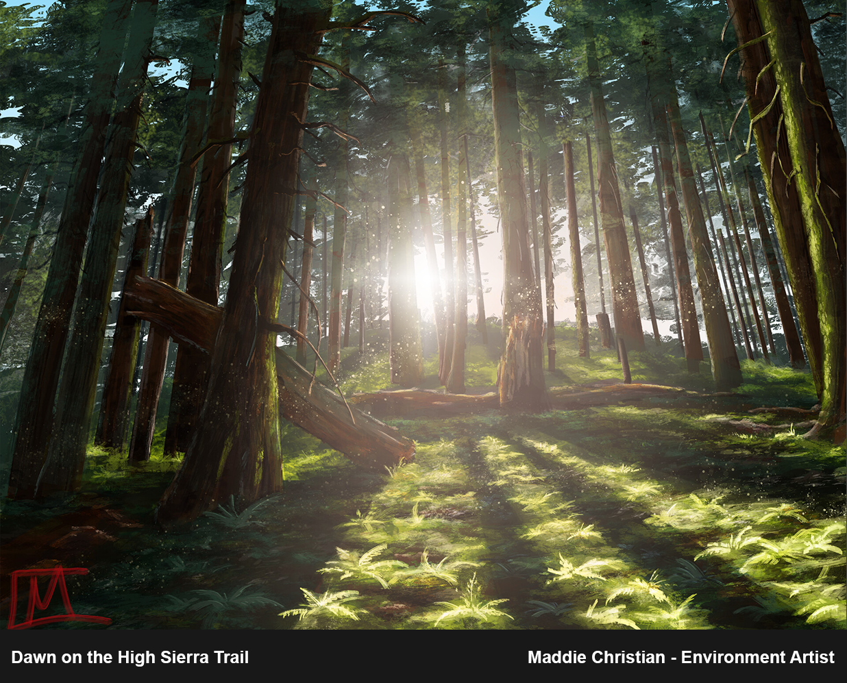 ForestPainting_Presentation_01.png