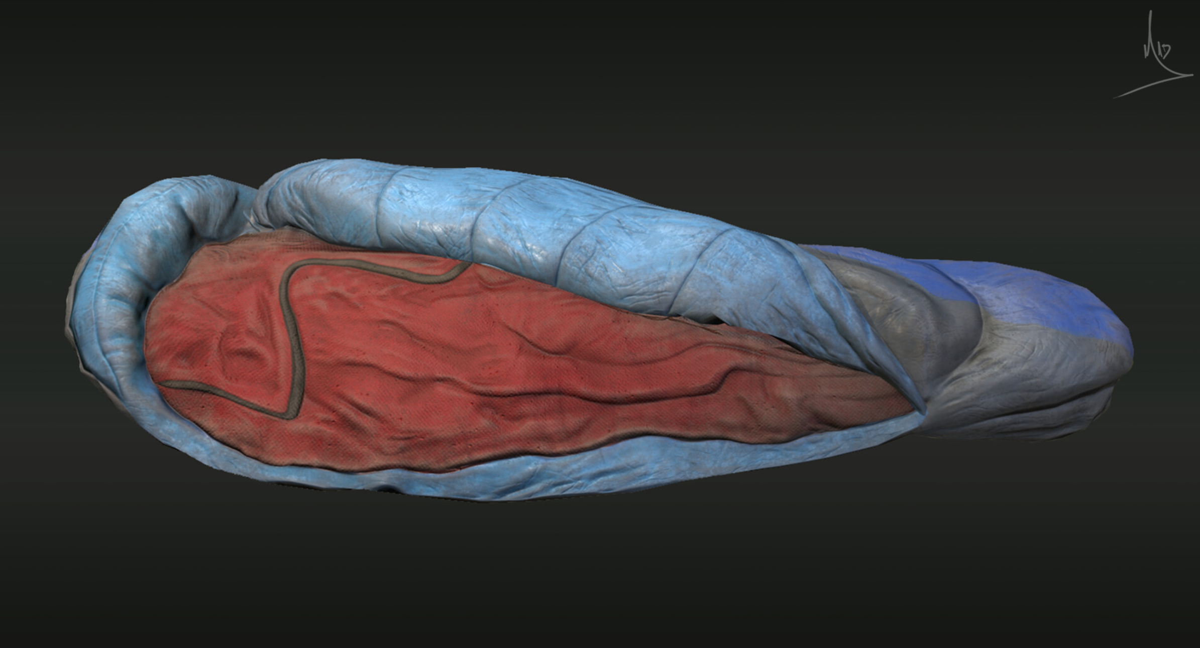 Sleeping Bag